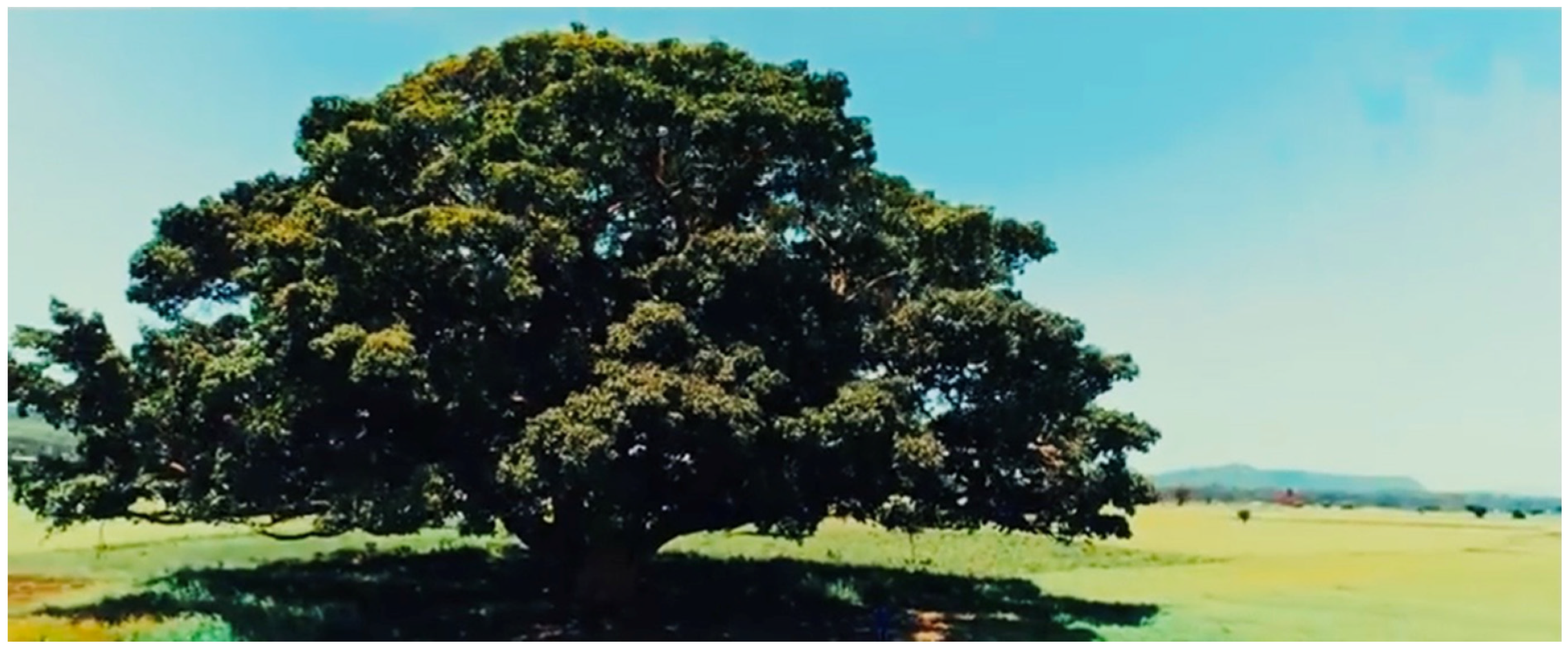 Humanities 10 00070 g007