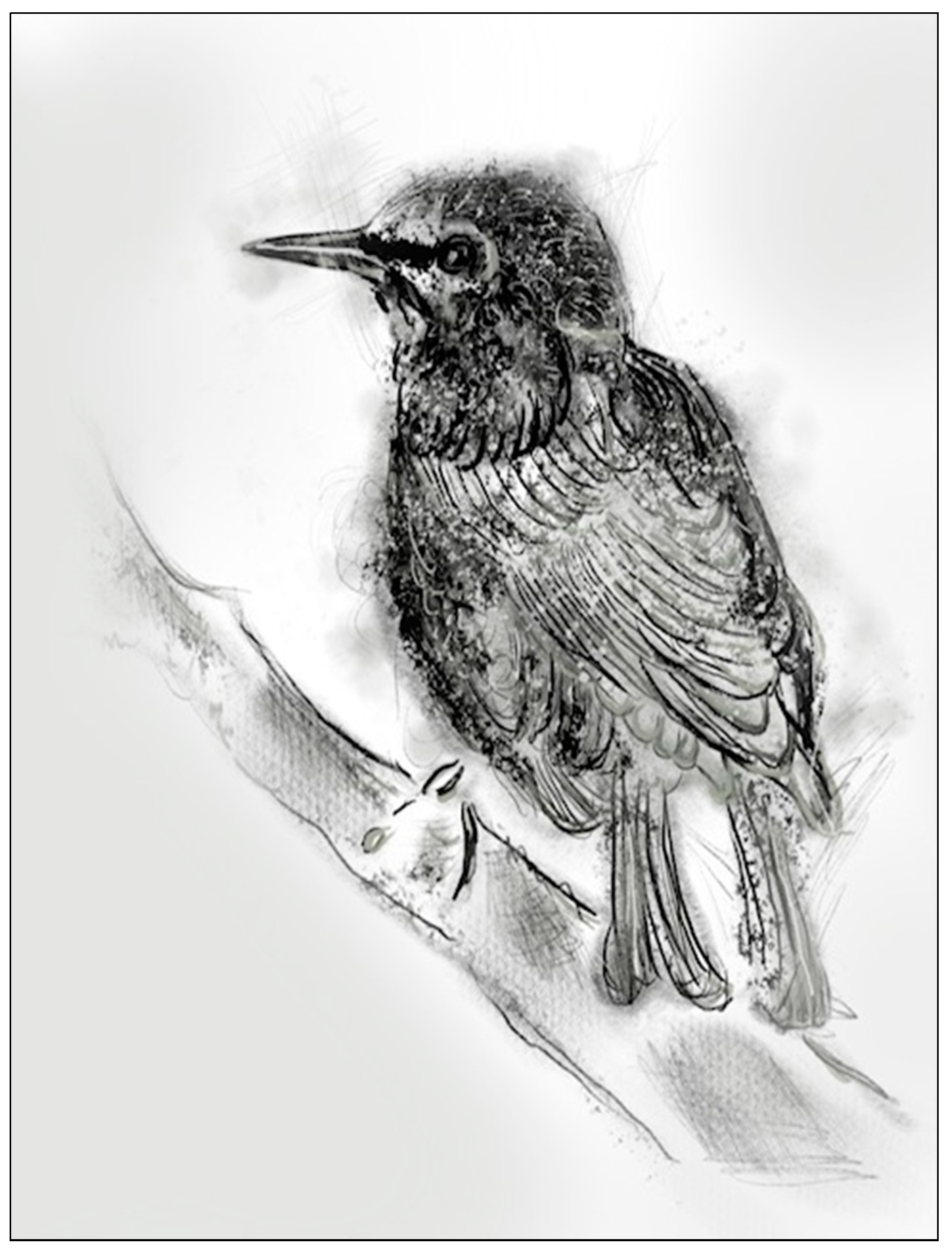 Humanities 10 00113 g006 550