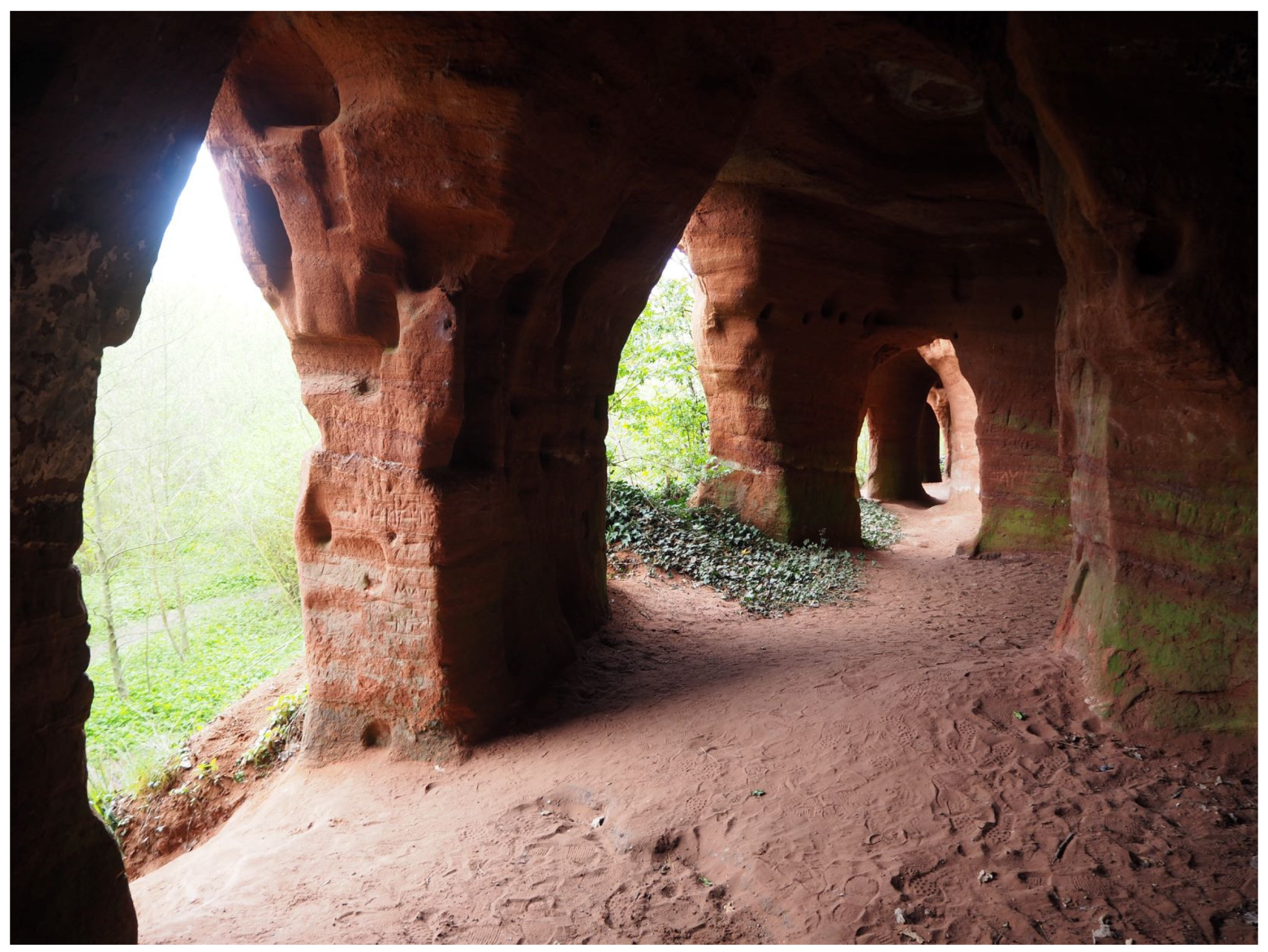 Humanities 11 00069 g004 Humanities 11 00069 g004