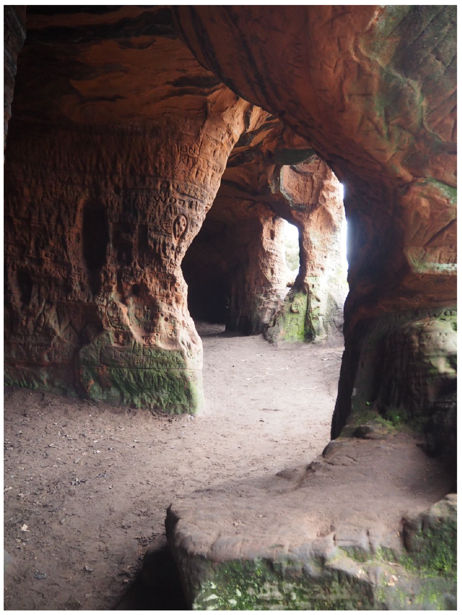 Humanities 11 00069 g005 Humanities 11 00069 g005