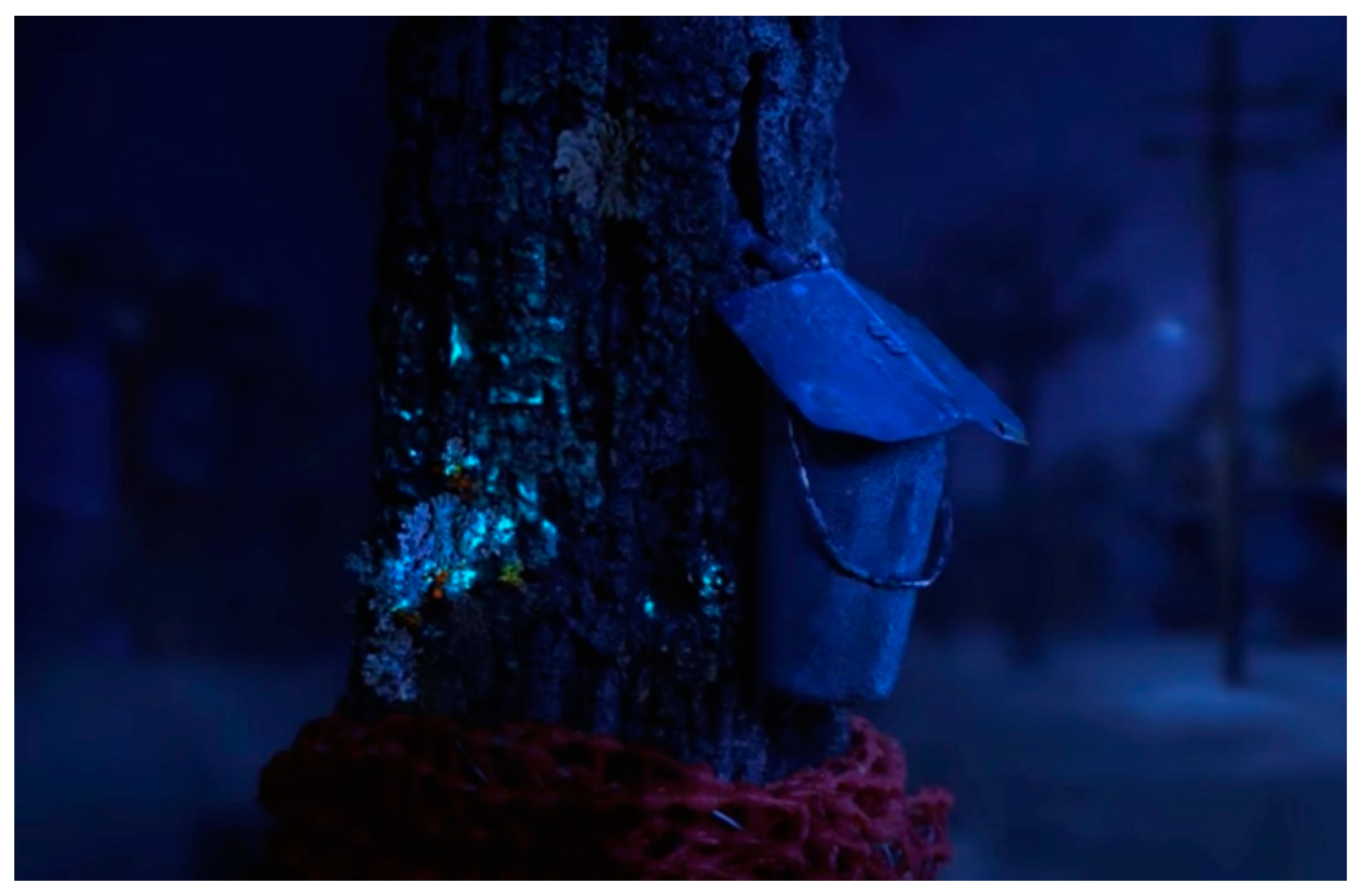 Humanities 11 00097 g004 550