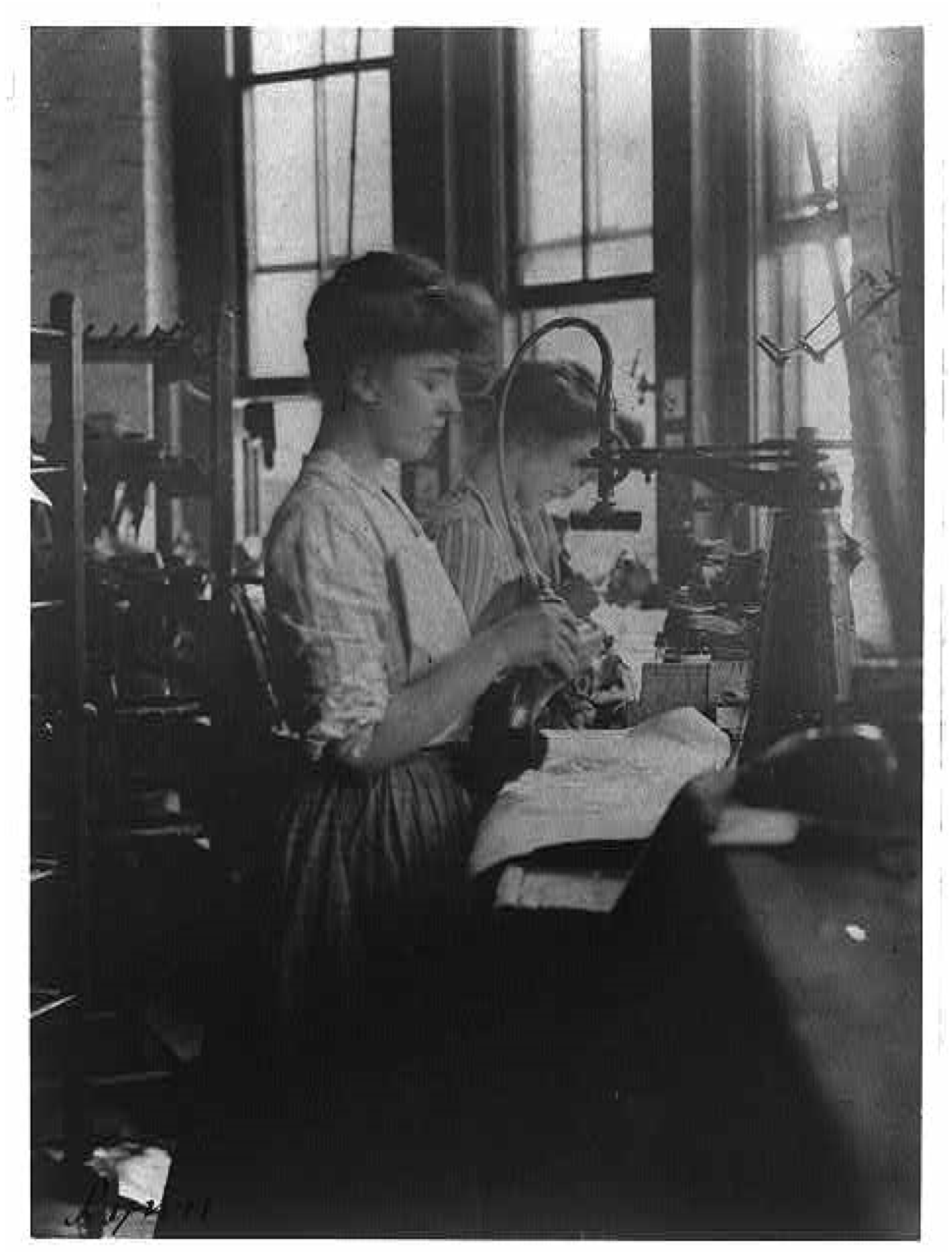 Humanities 11 00117 g024 550