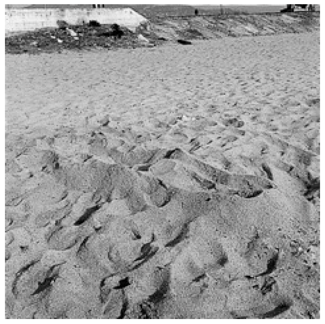 Humanities 12 00138 g008