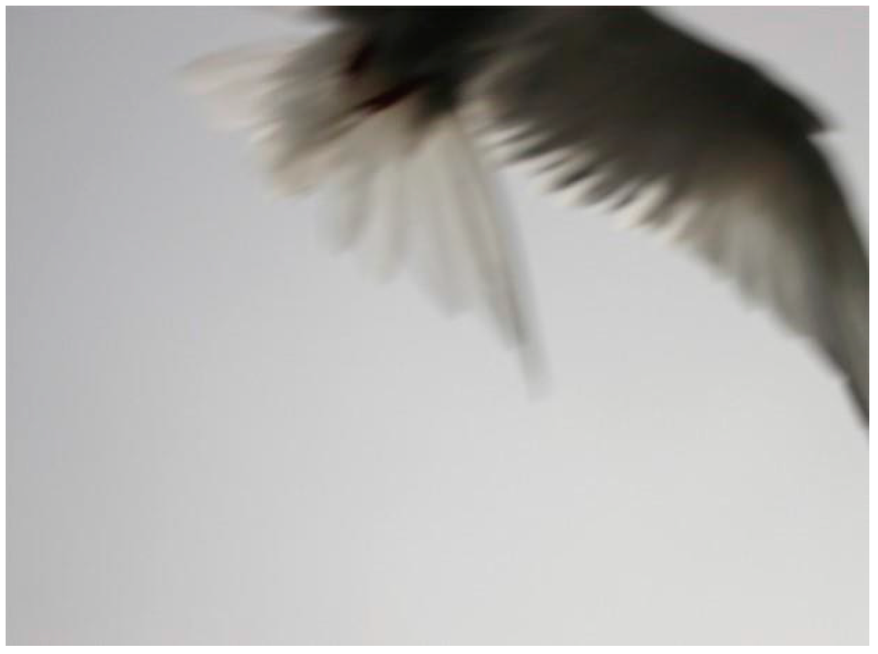 Humanities 12 00141 g002