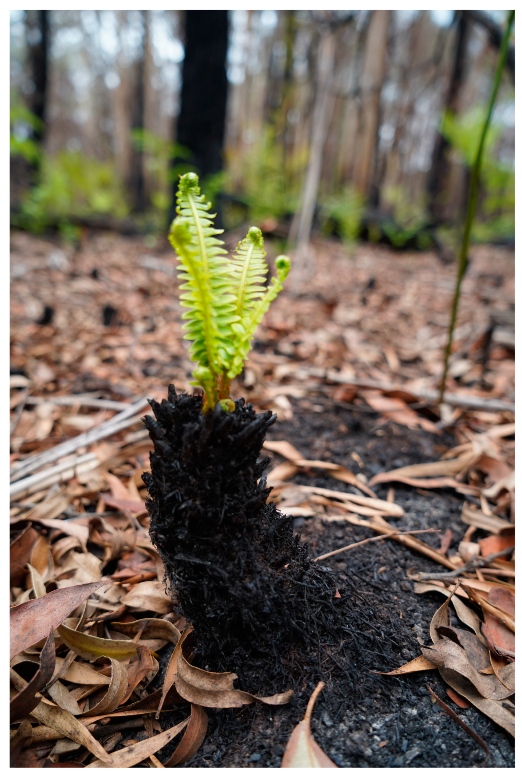 Humanities 13 00037 g004