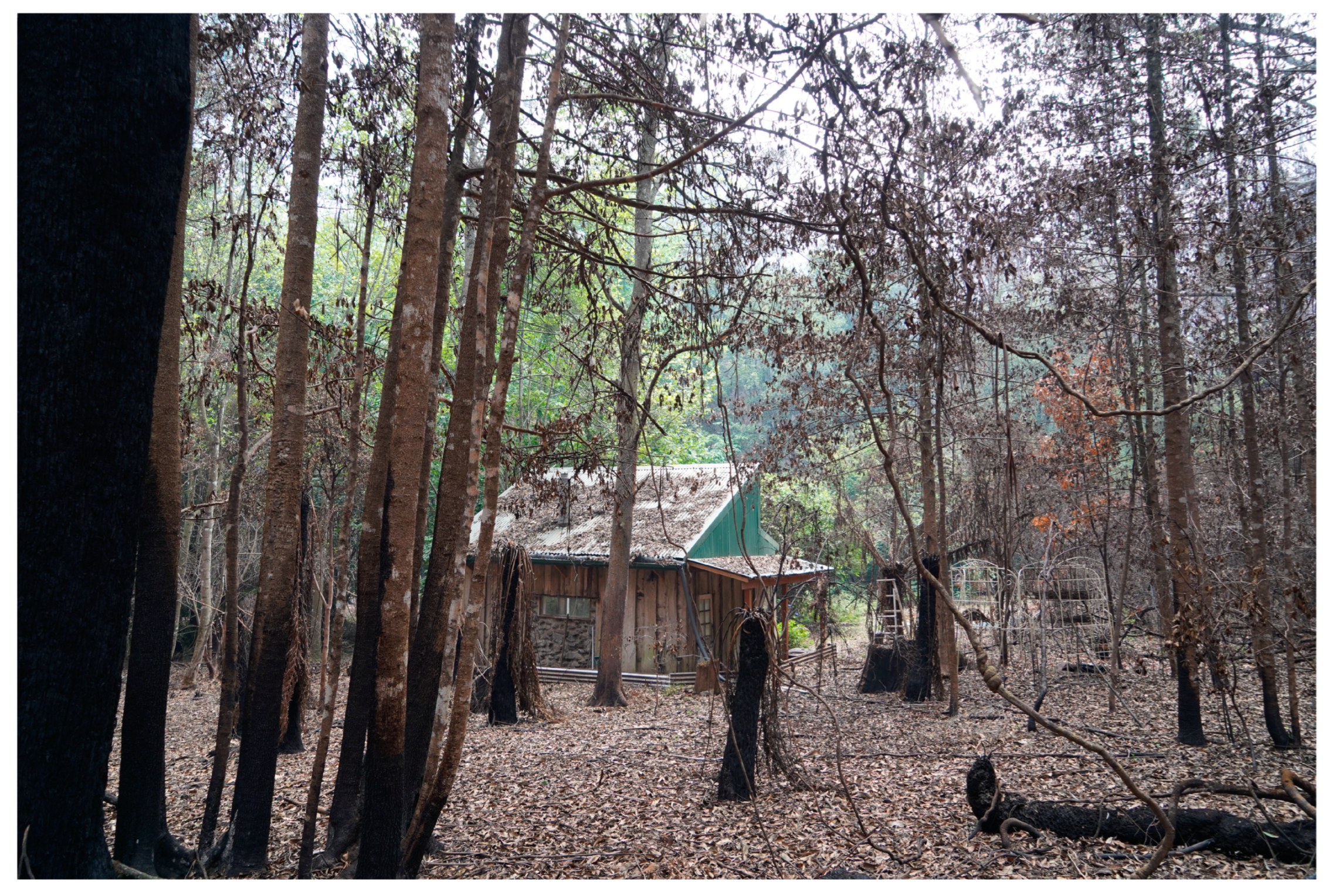 Humanities 13 00037 g008