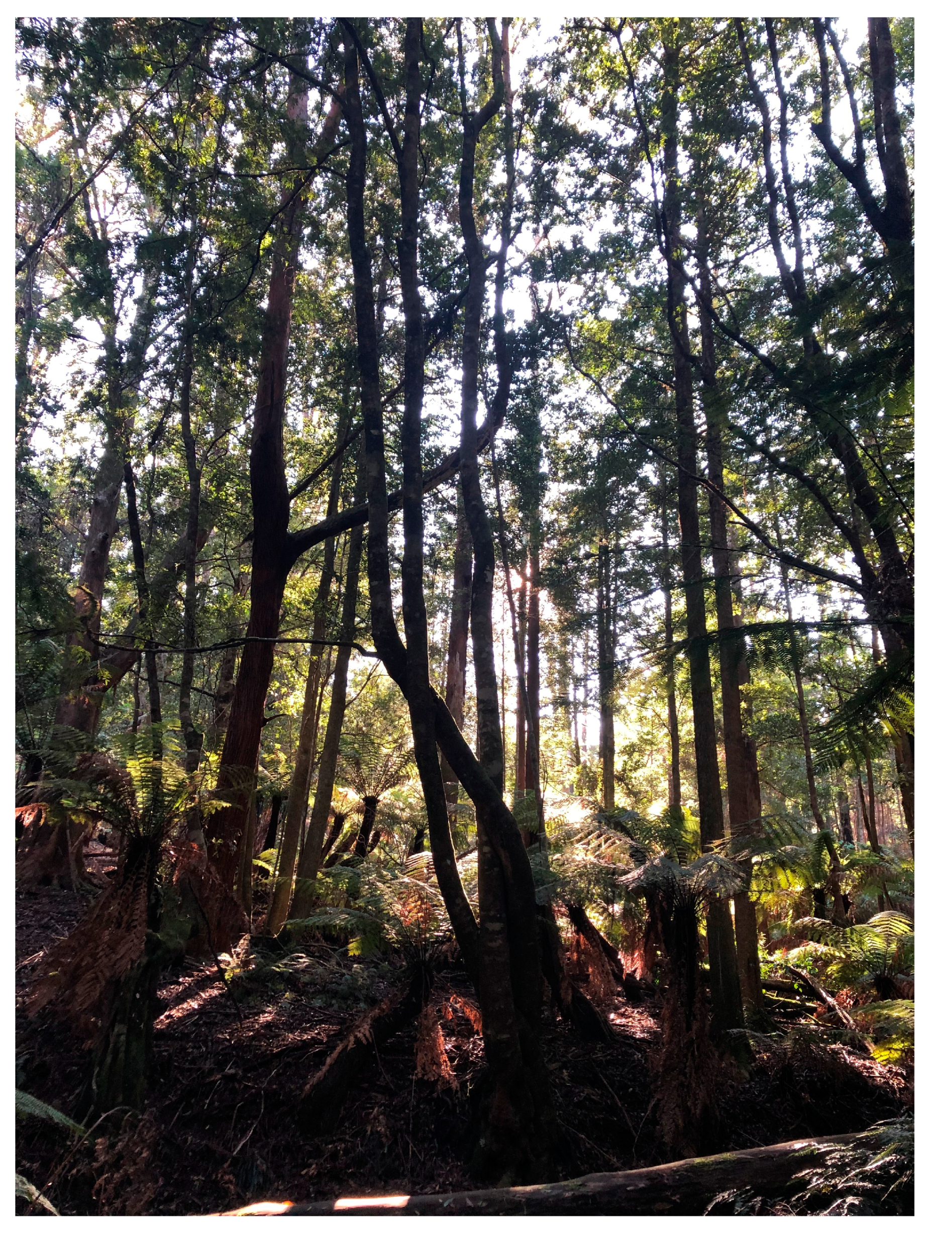 Humanities 13 00037 g009