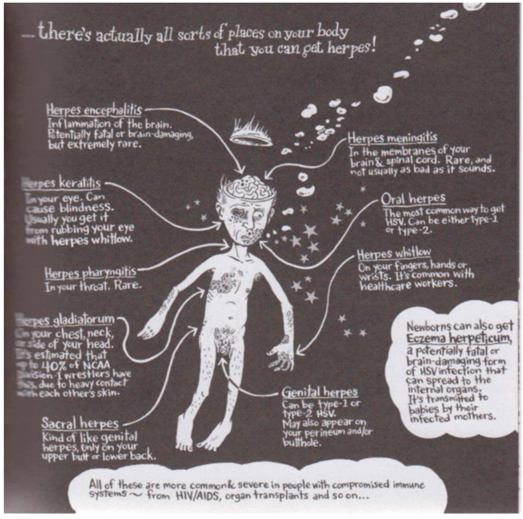 Humanities 13 00040 g001