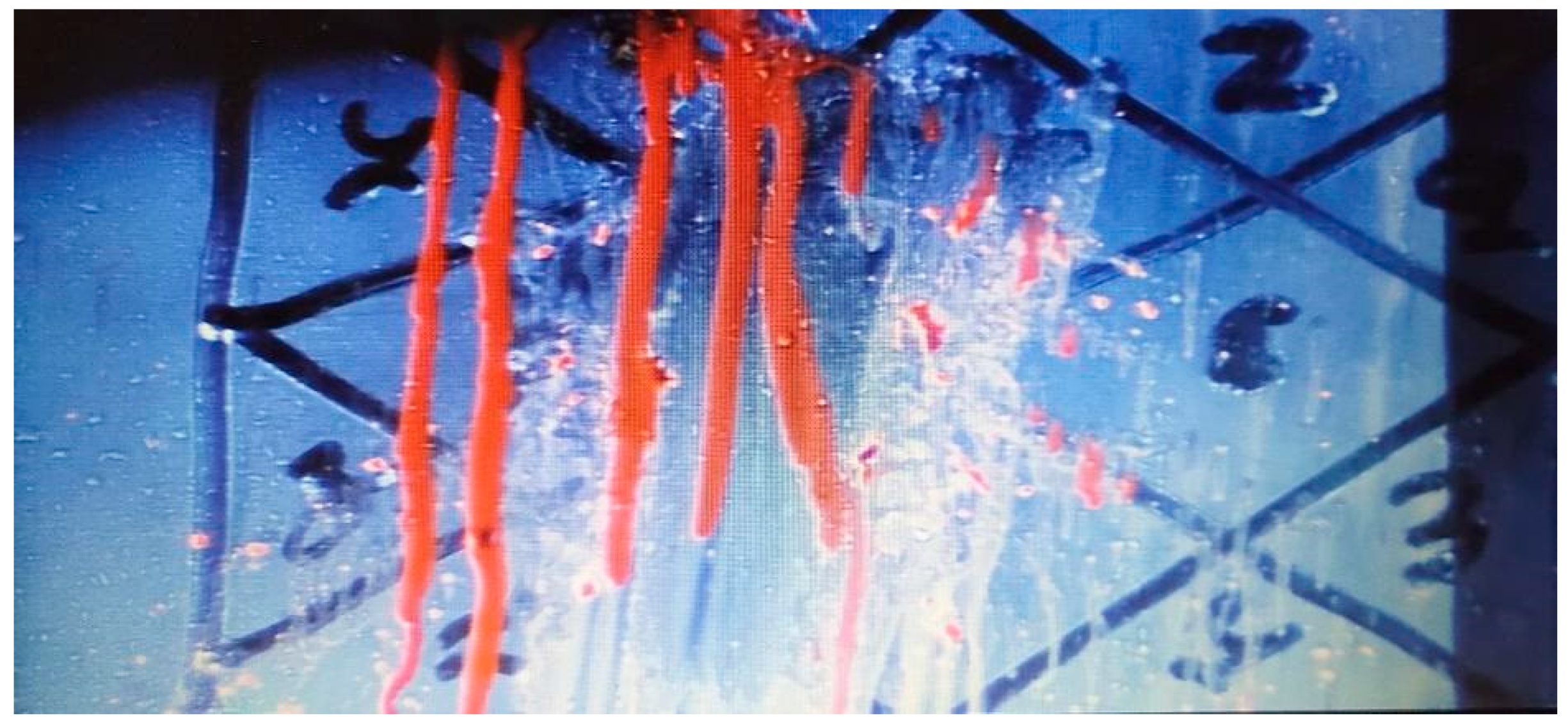 Humanities 13 00042 g003