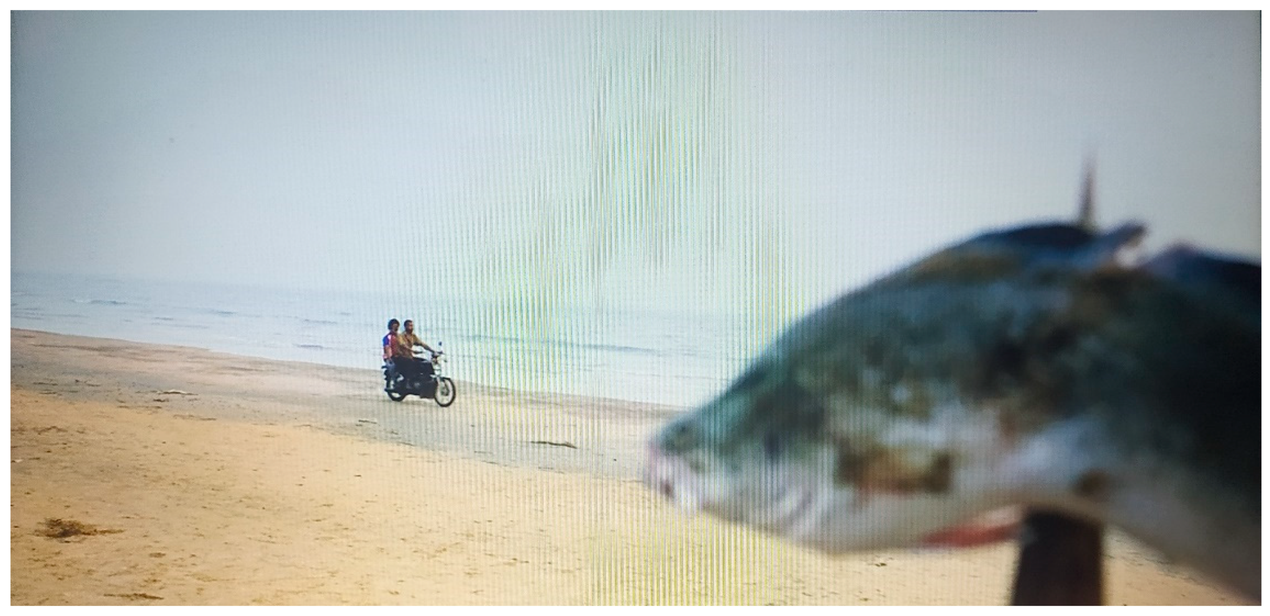 Humanities 13 00042 g008