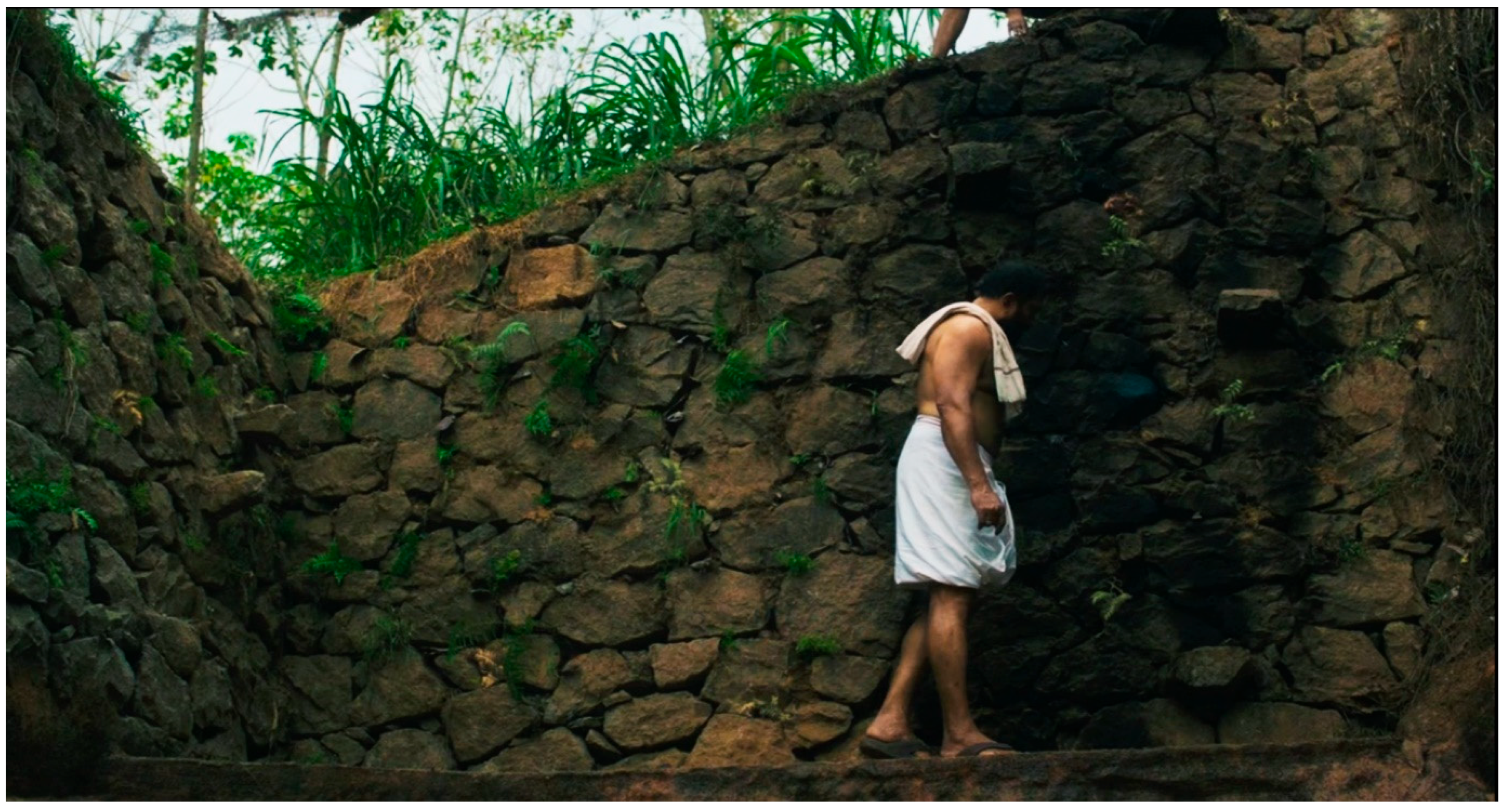 Humanities 13 00042 g025