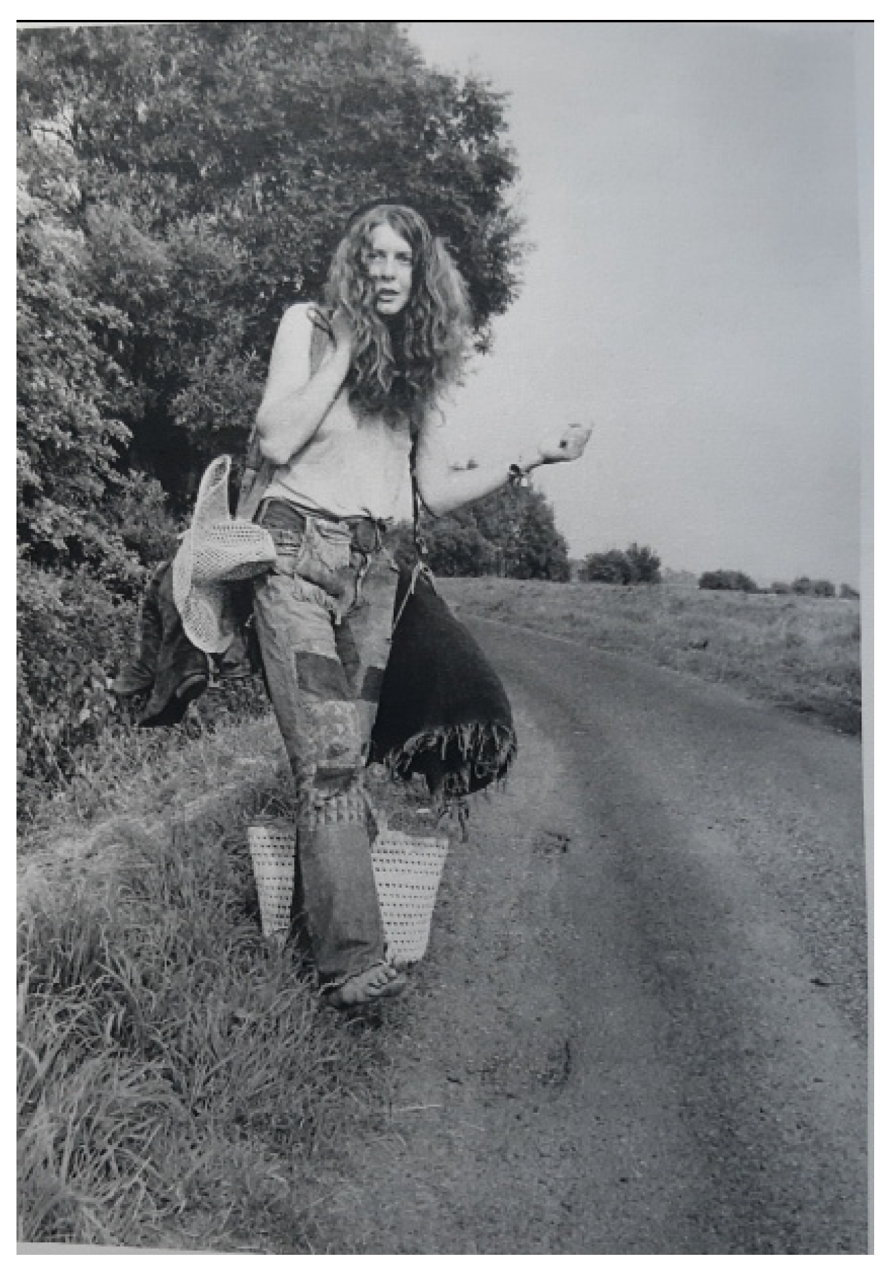 Humanities 13 00116 g001