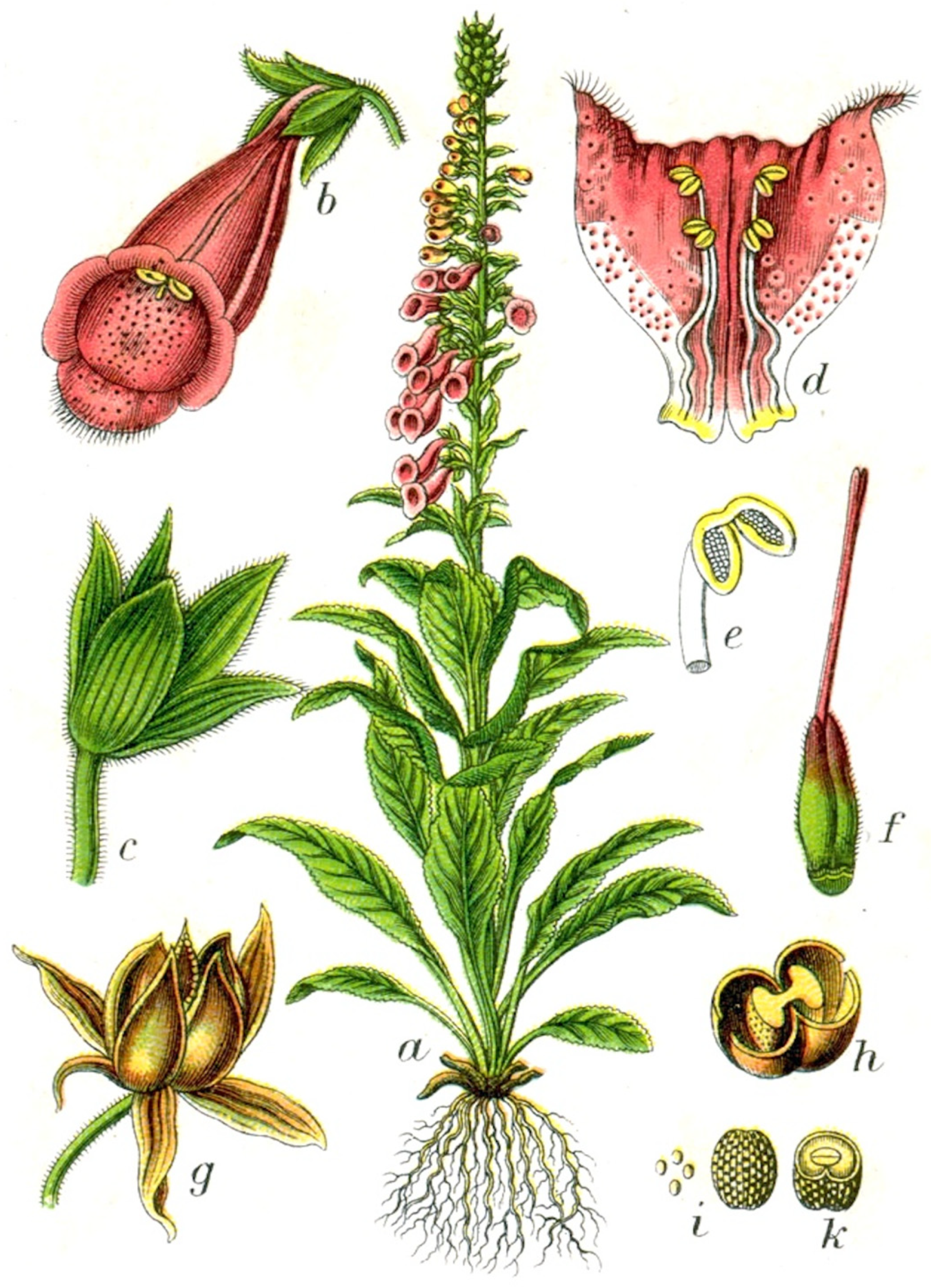 Humanities 13 00118 g002