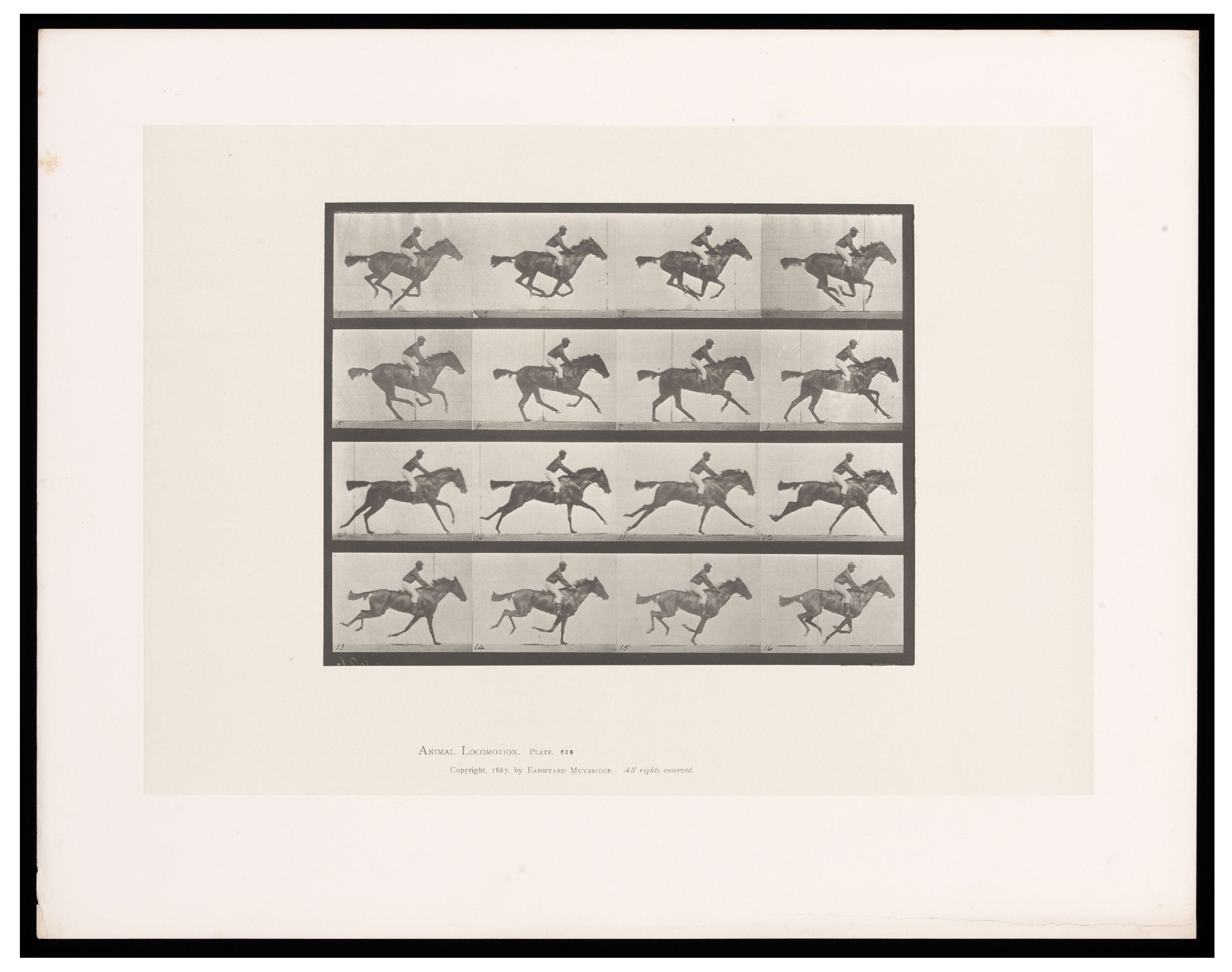 Humanities 13 00136 g006