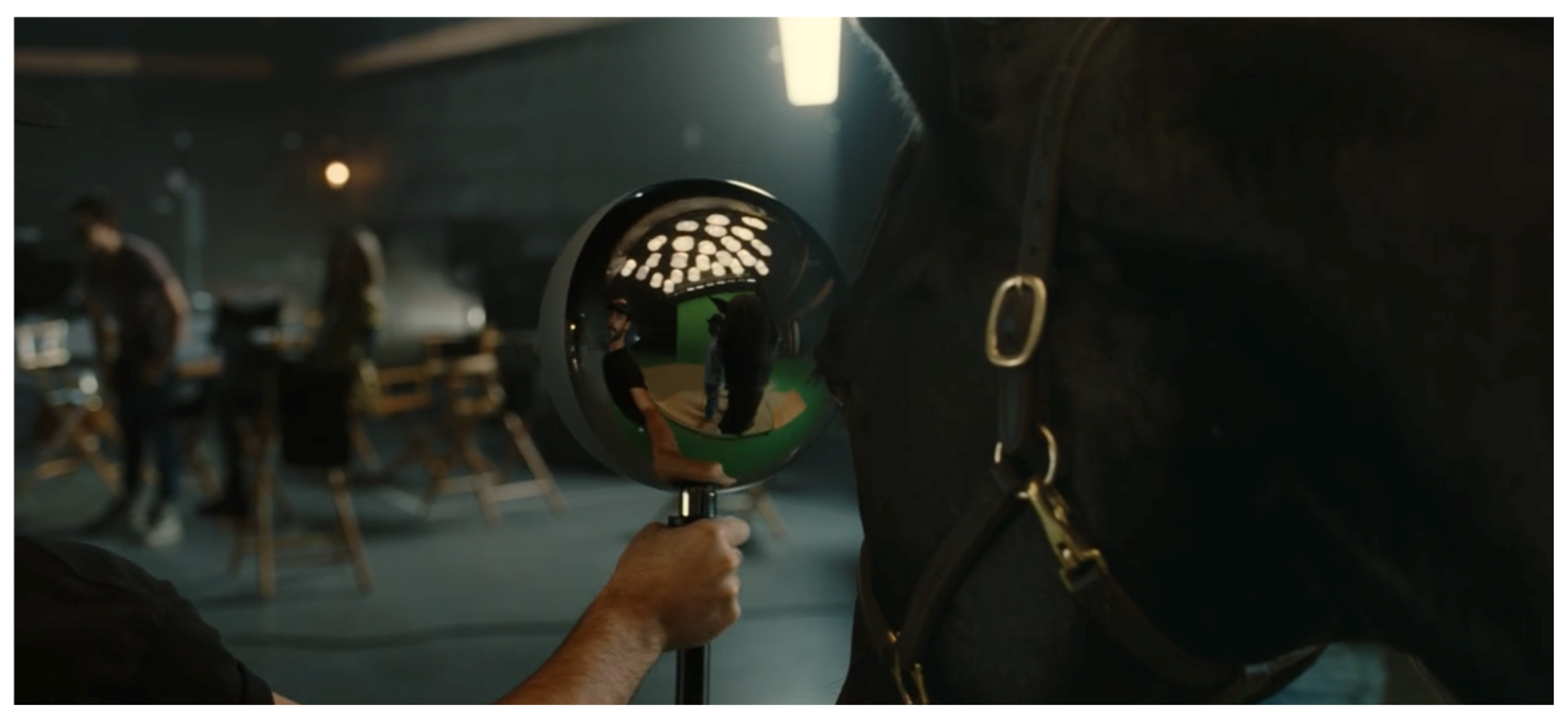 Humanities 13 00136 g008