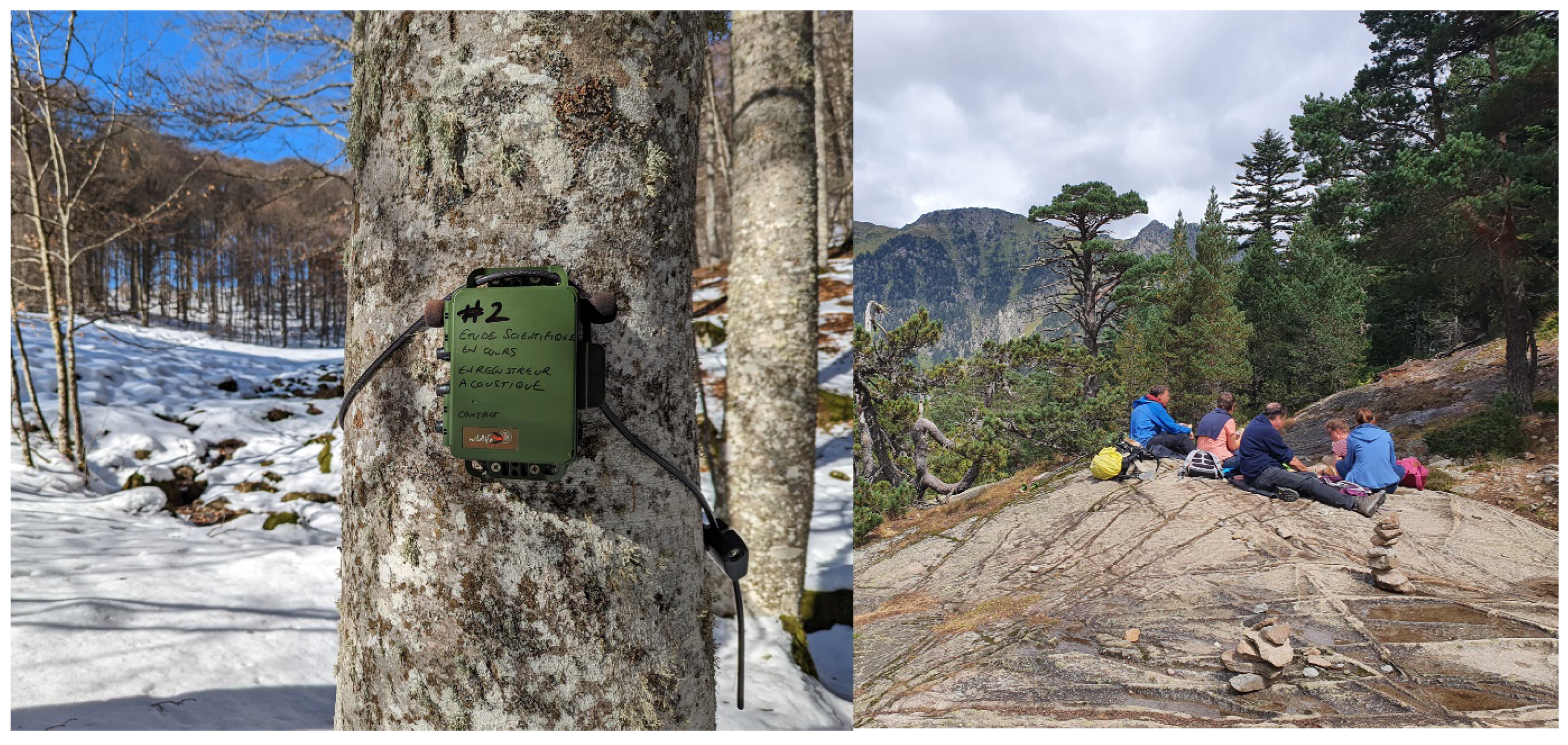 Humanities 14 00041 g002