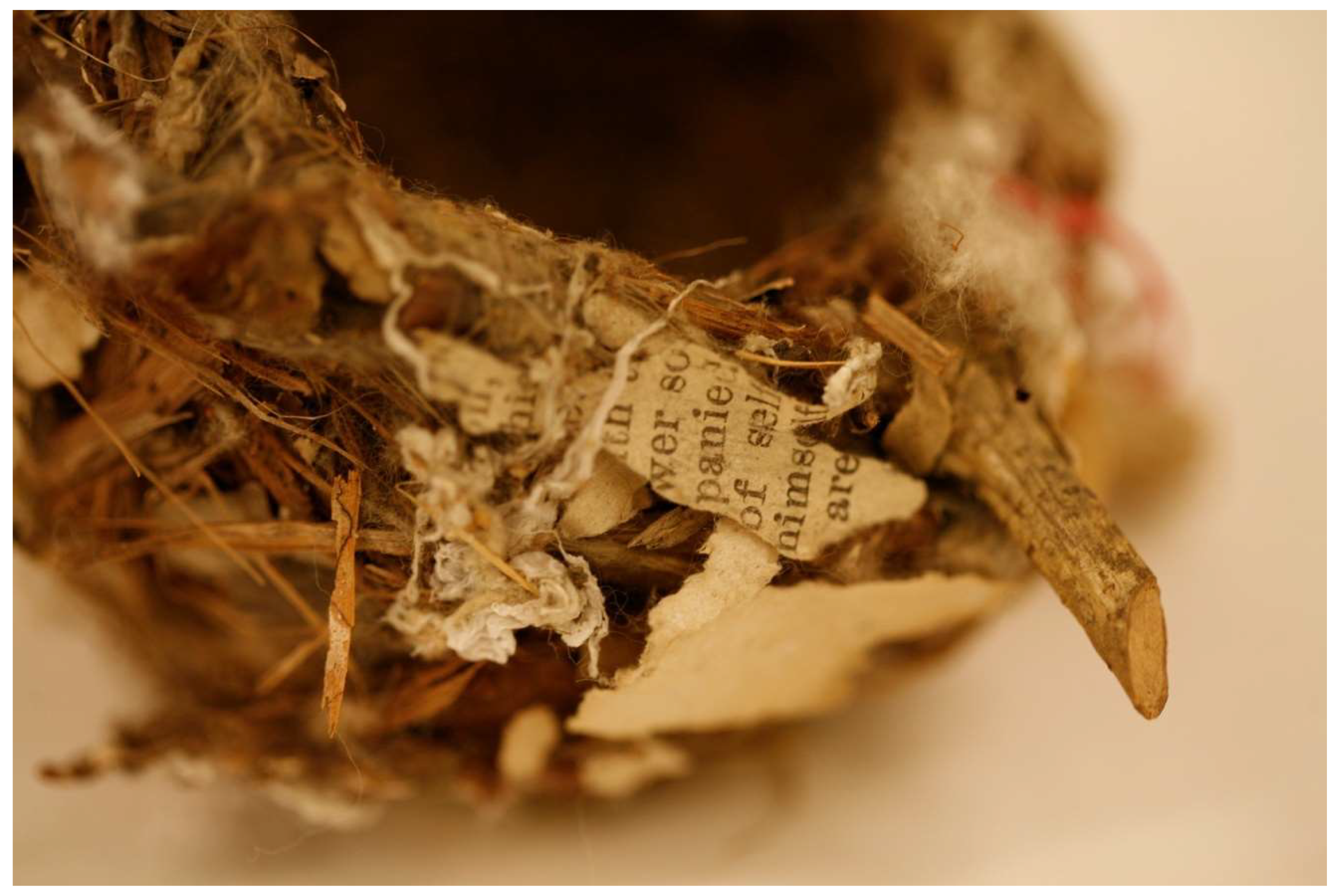 Humanities 14 00145 g003