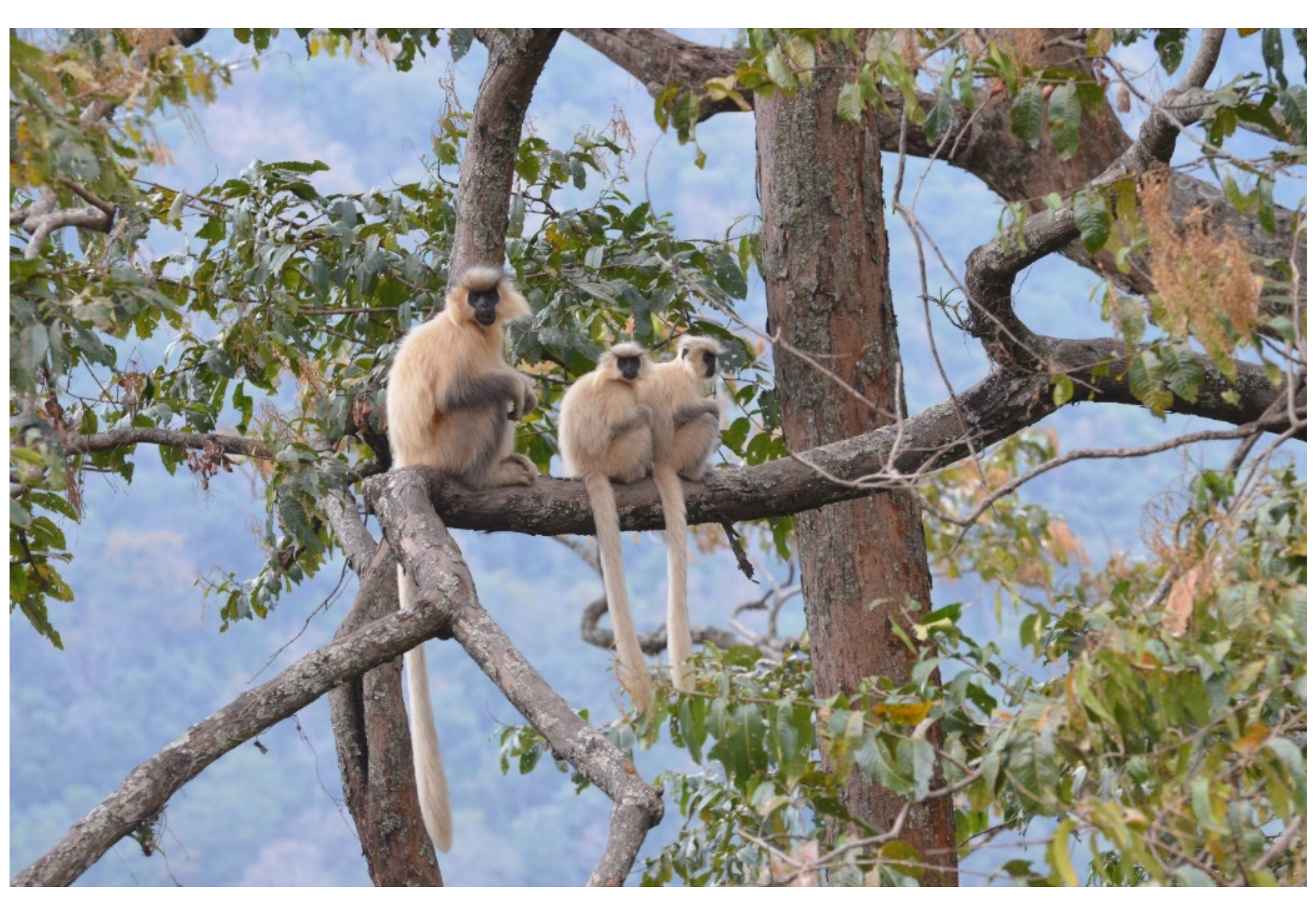 Humans 01 00005 g001 550