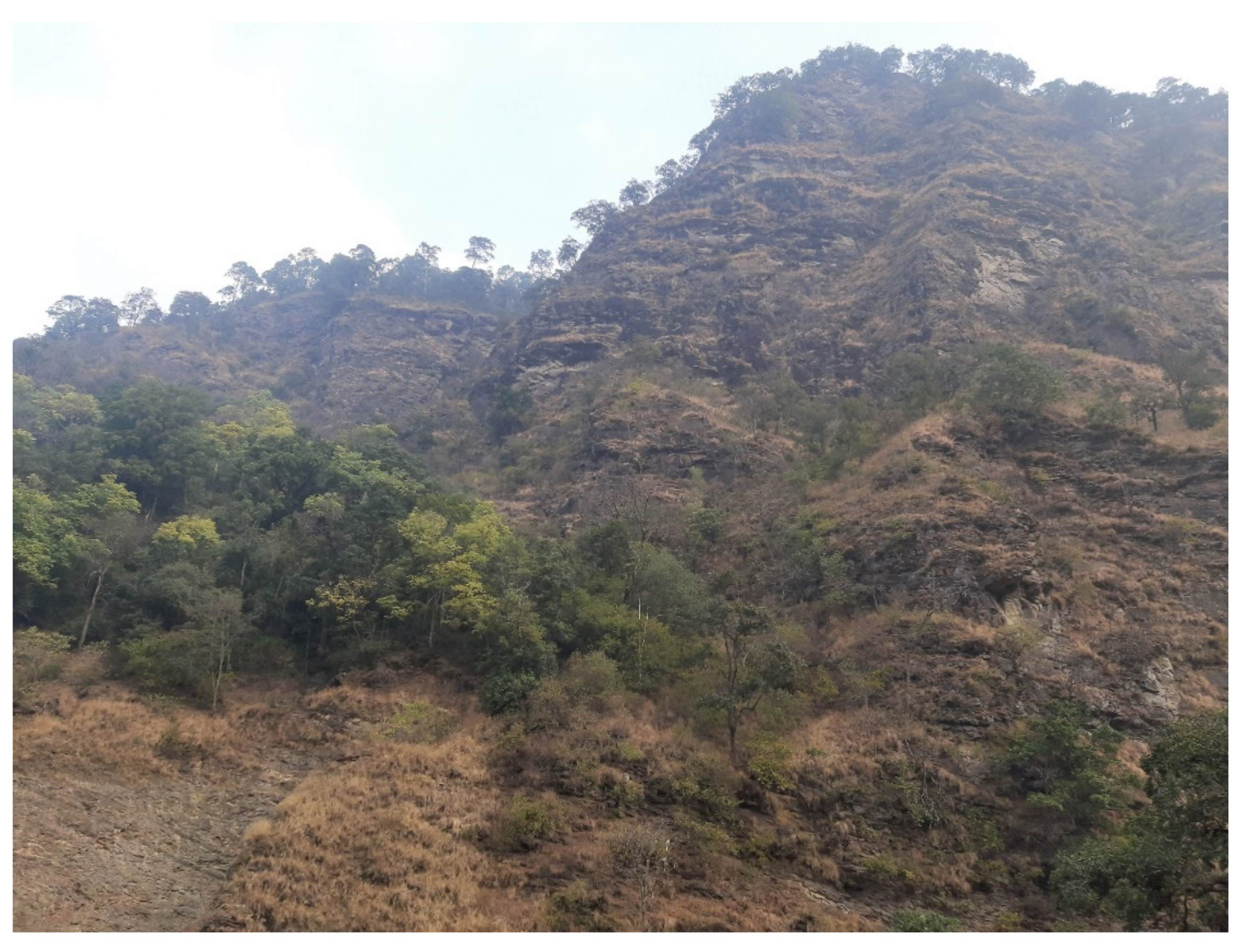 Humans 01 00005 g003 550