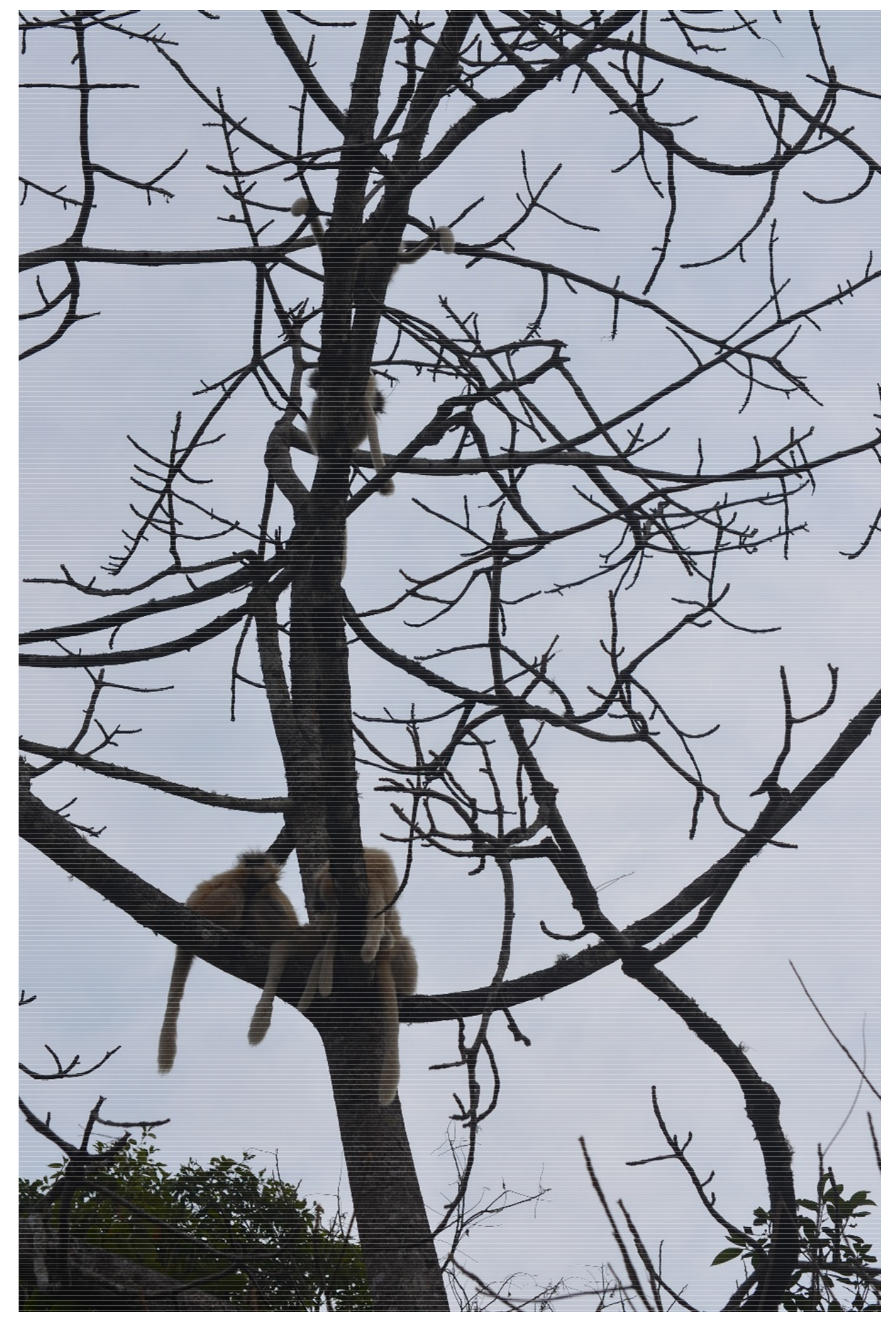 Humans 01 00005 g004 550