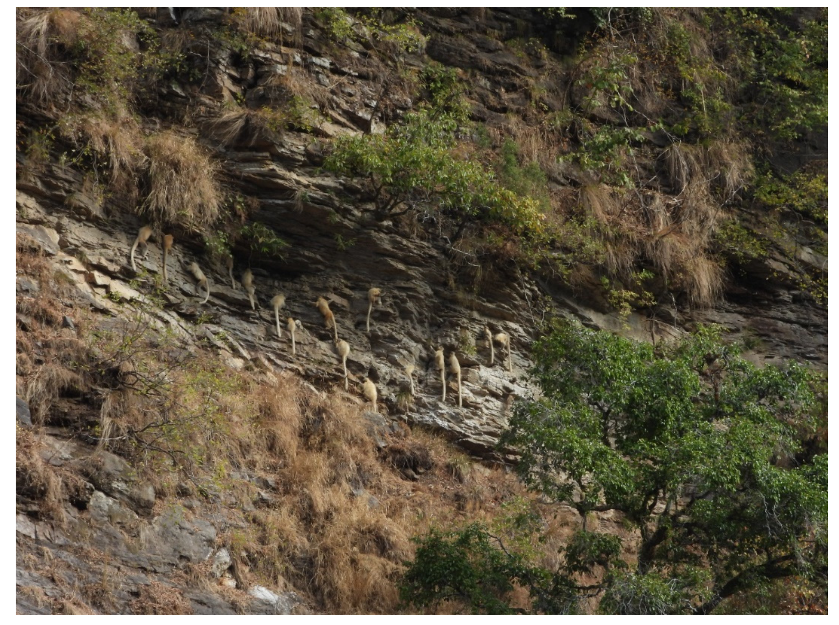 Humans 01 00005 g006 550