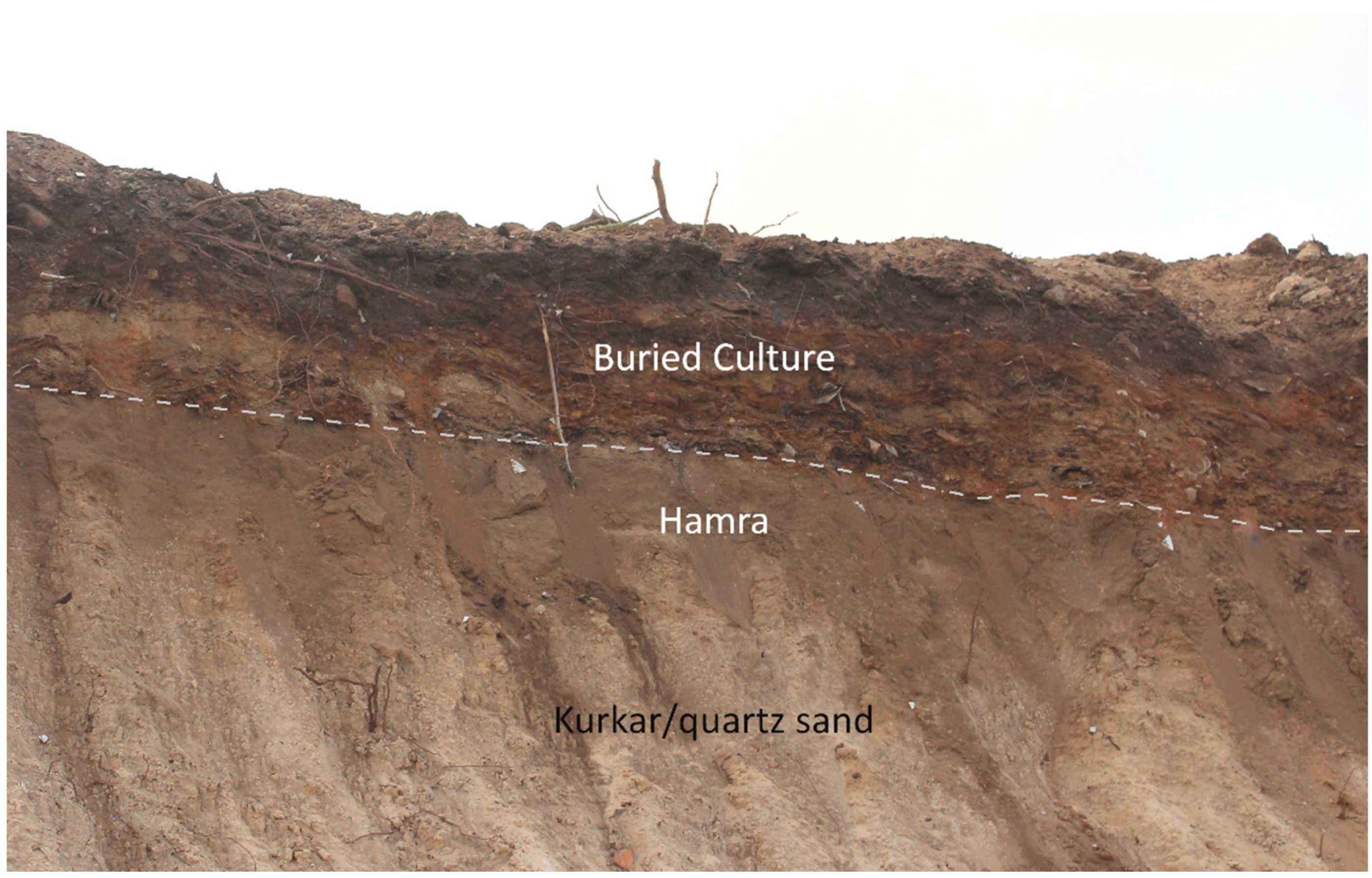 Humans 02 00006 g001 550