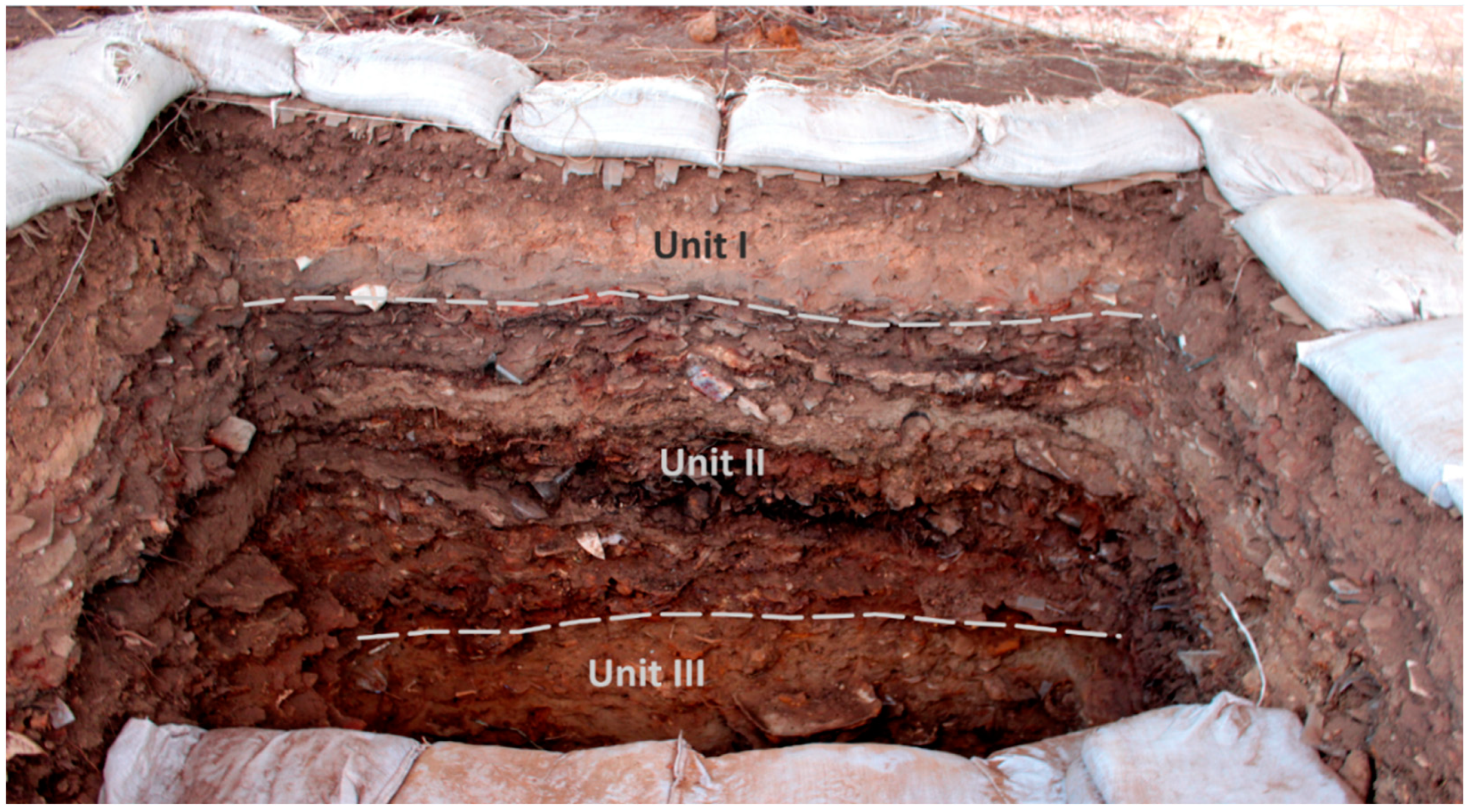 Humans 02 00006 g004 550