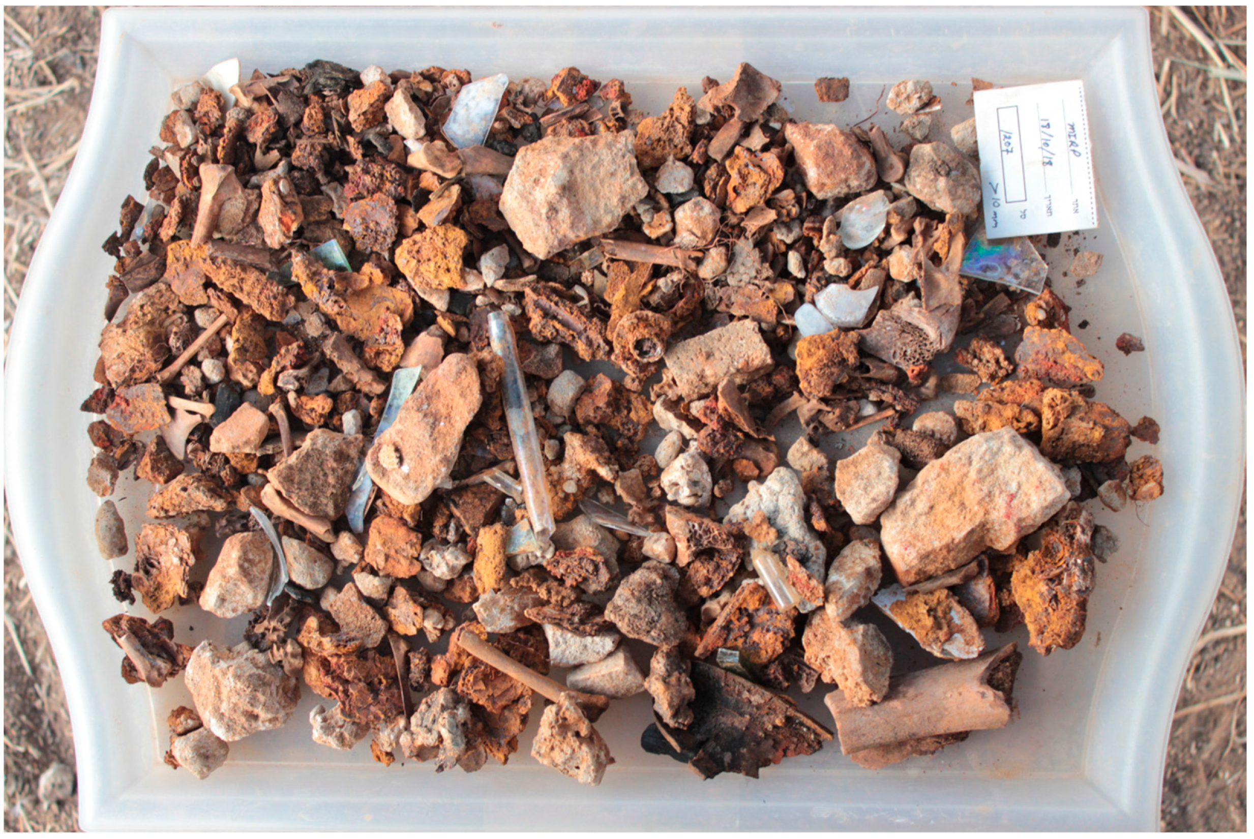 Humans 02 00006 g005 550