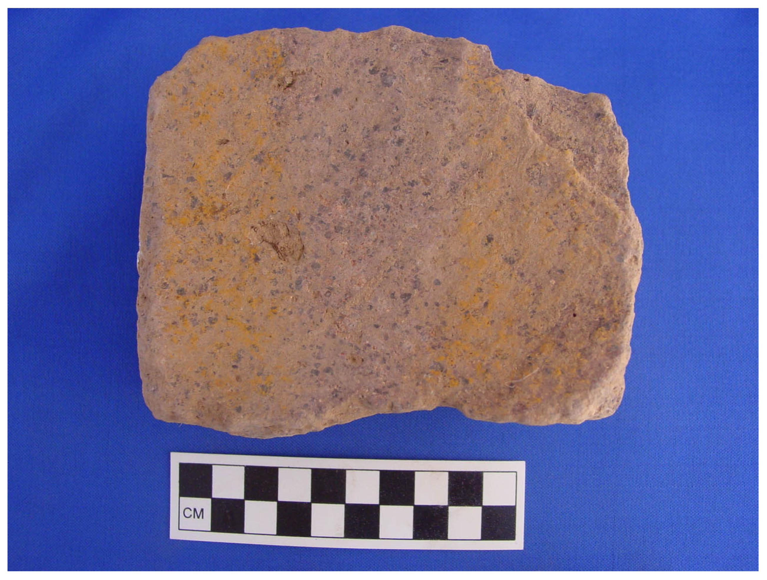 Humans 02 00008 g012 550