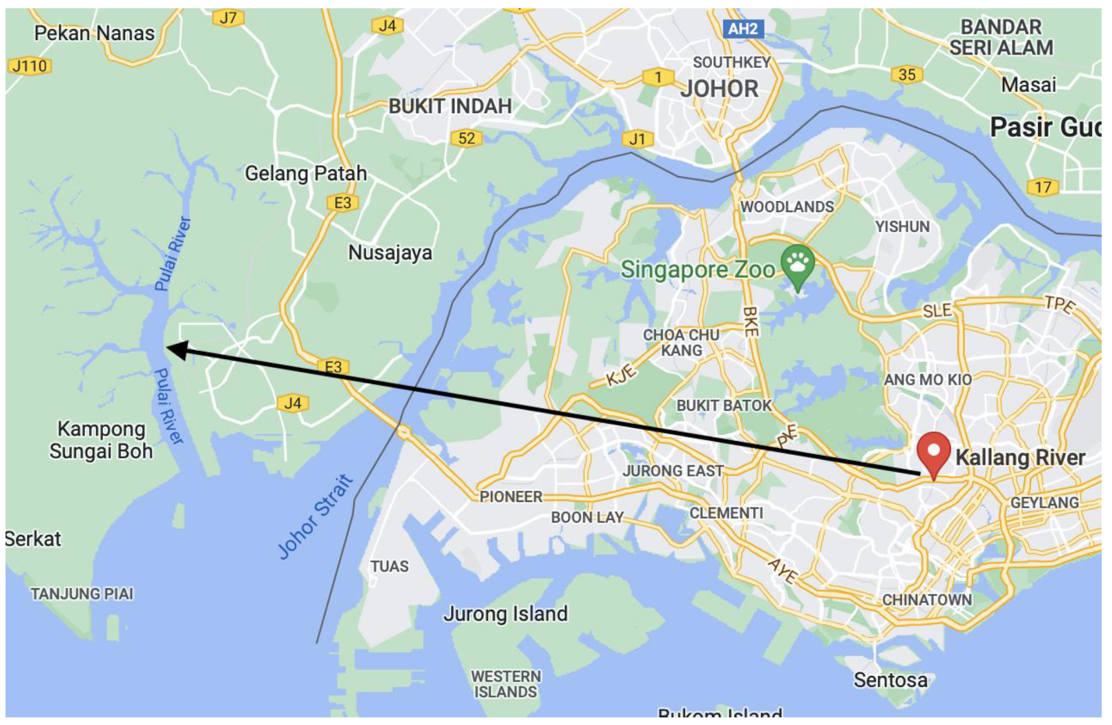 Humans 02 00009 g004