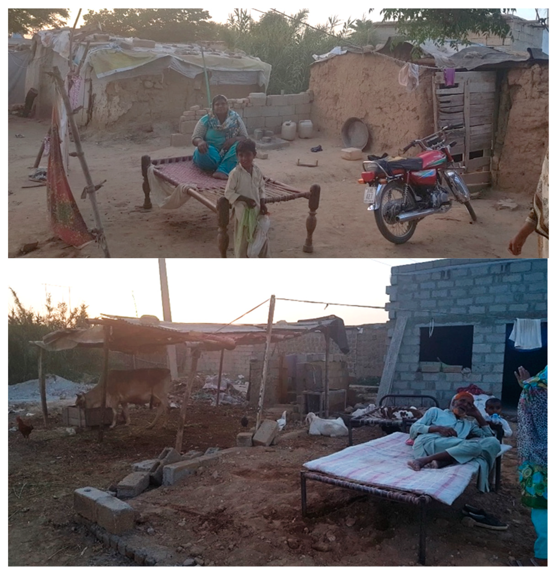 Humans 02 00017 g005