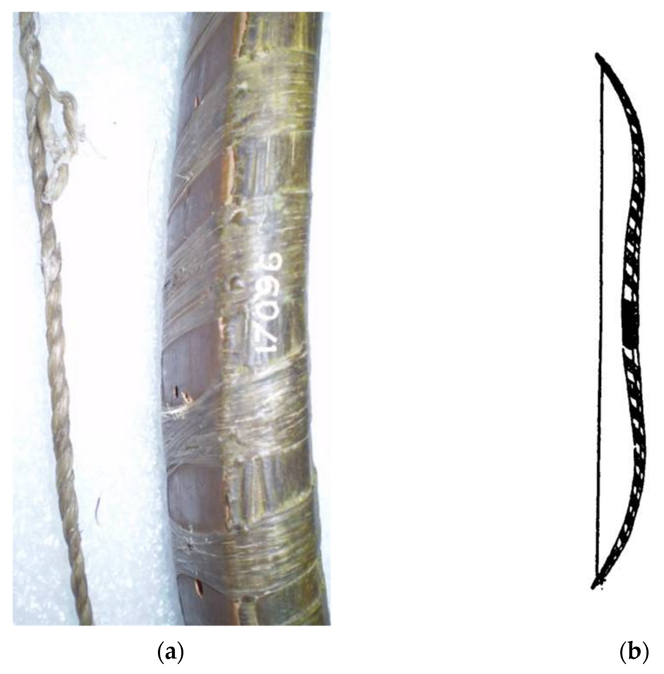 What kind of sinew are these? : r/Bowyer