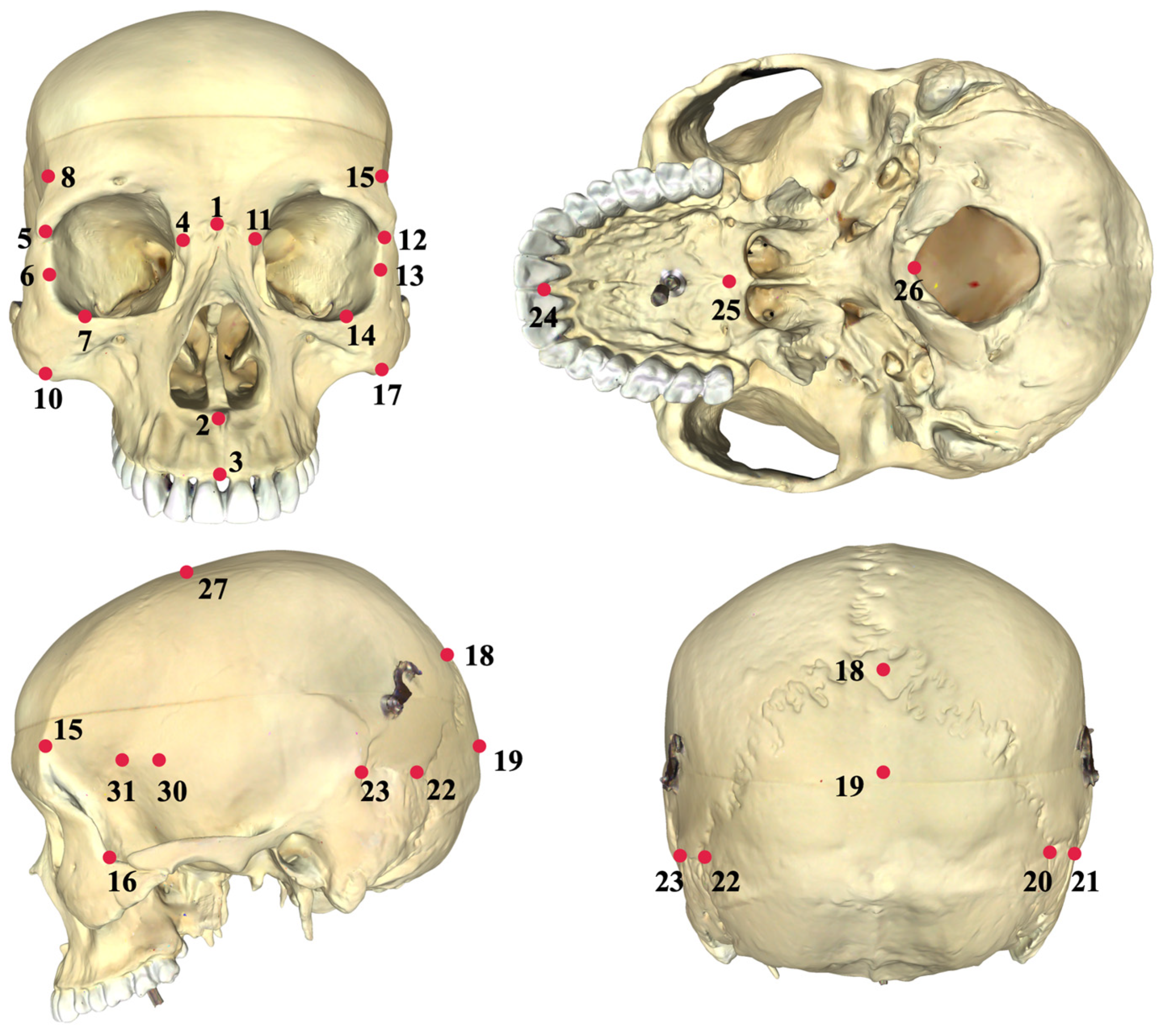 Humans 04 00008 g002