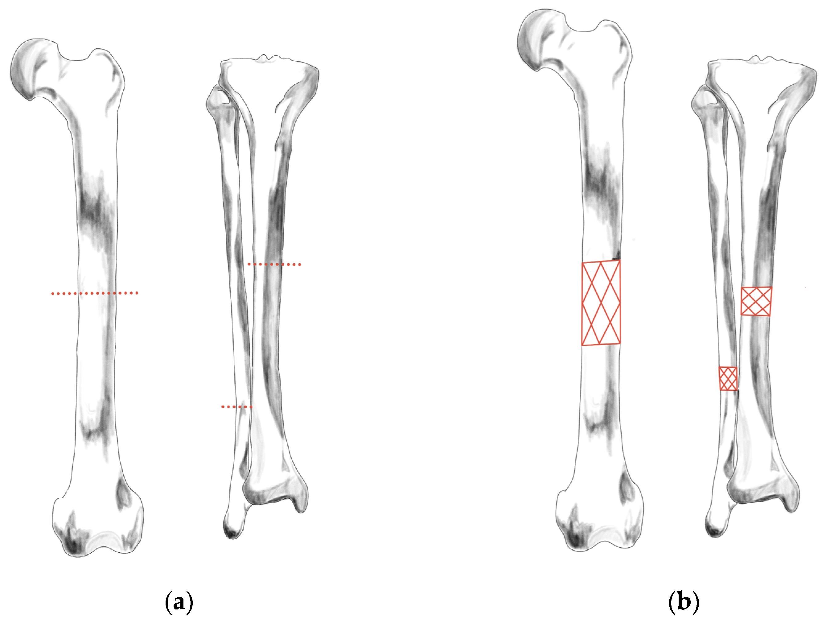 Humans 04 00011 g003