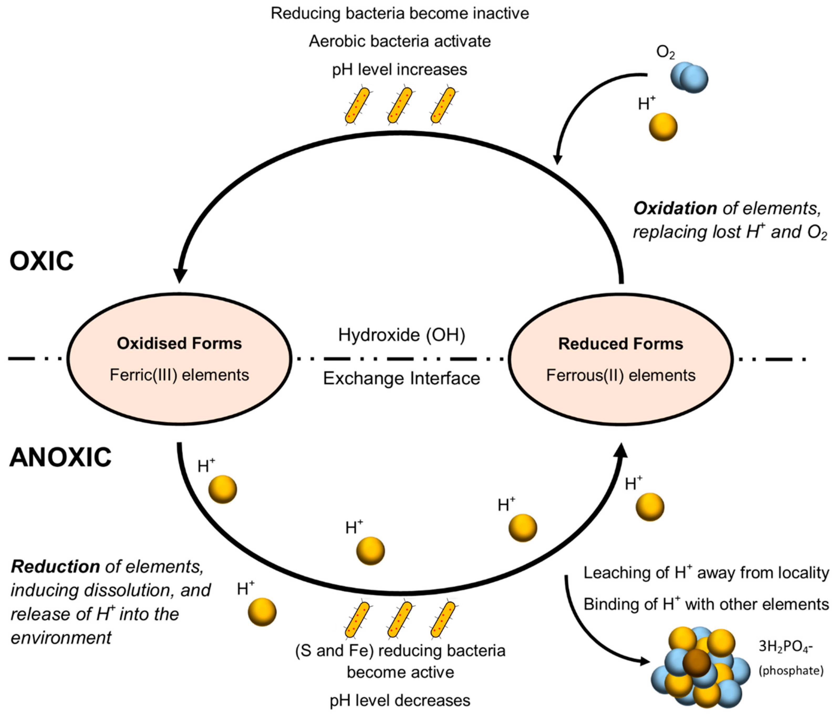 Humans 05 00002 g001 Humans 05 00002 g001
