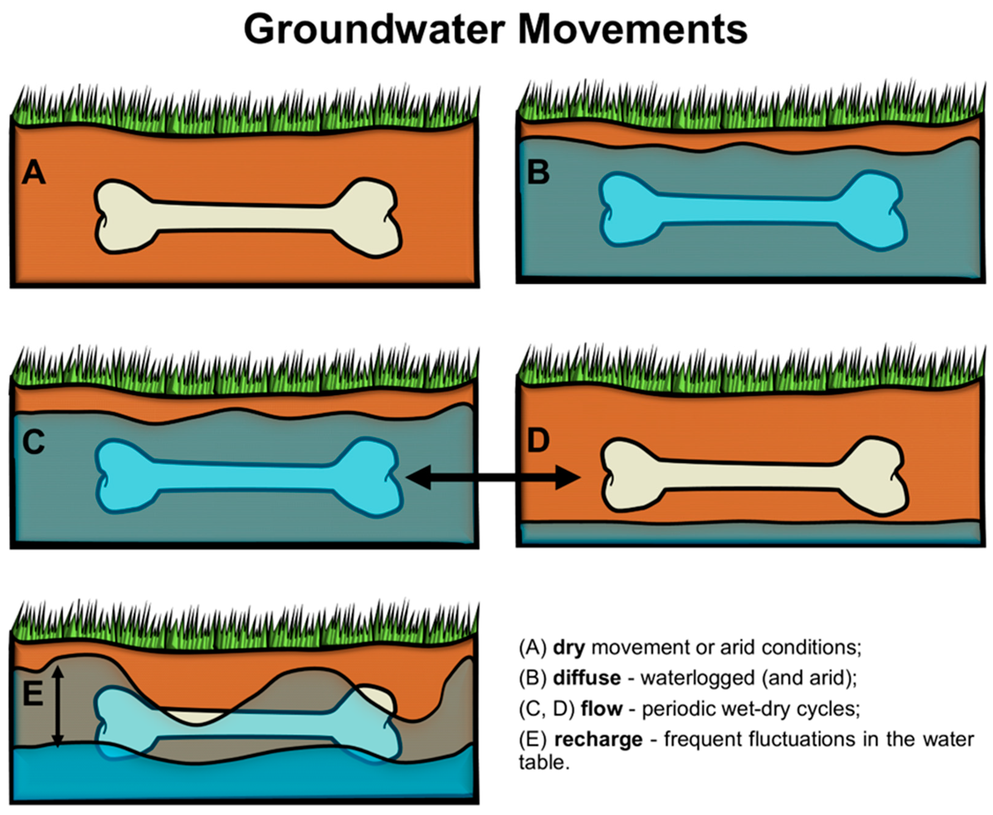 Humans 05 00002 g002 Humans 05 00002 g002