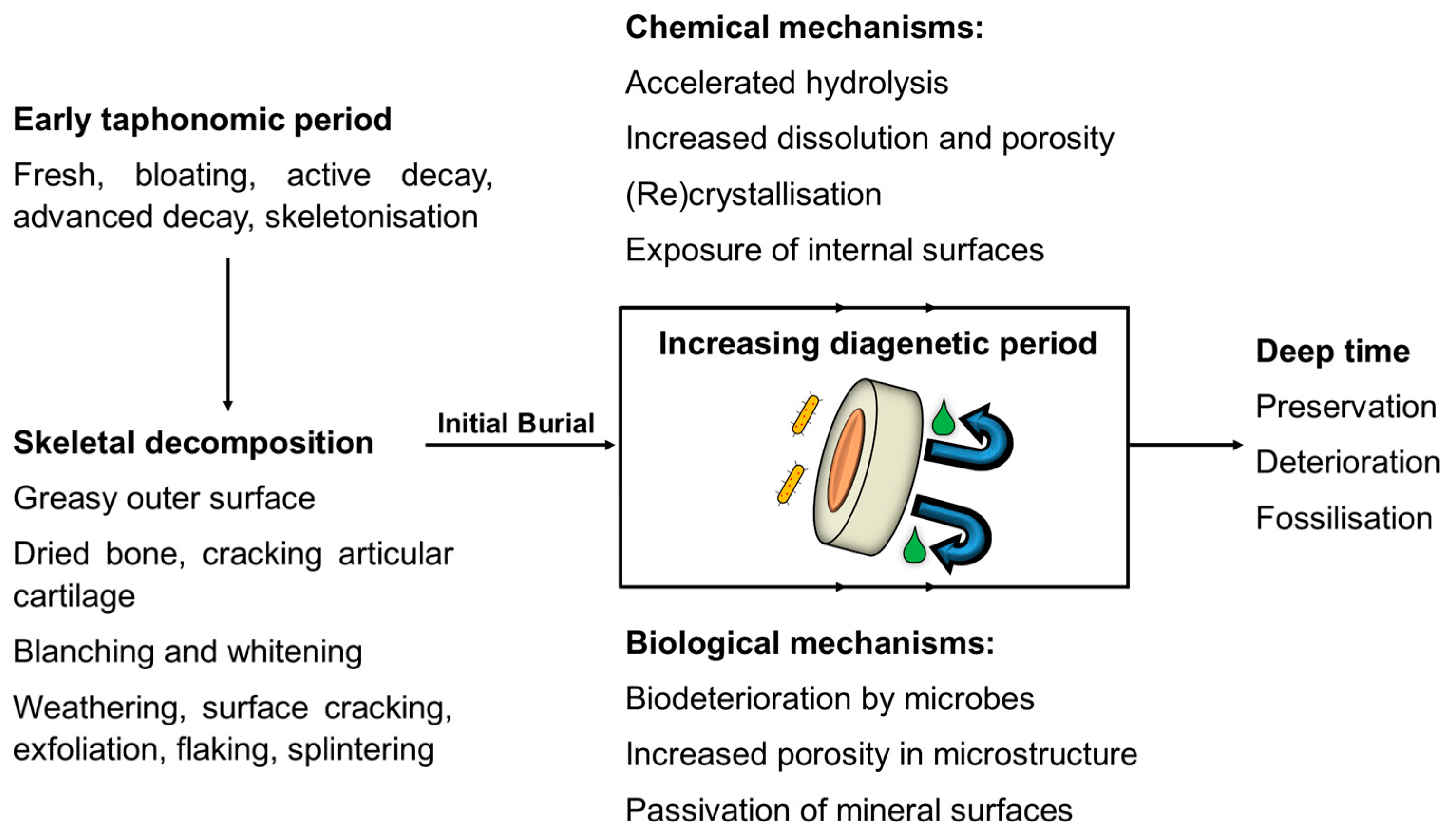 Humans 05 00002 g003 Humans 05 00002 g003
