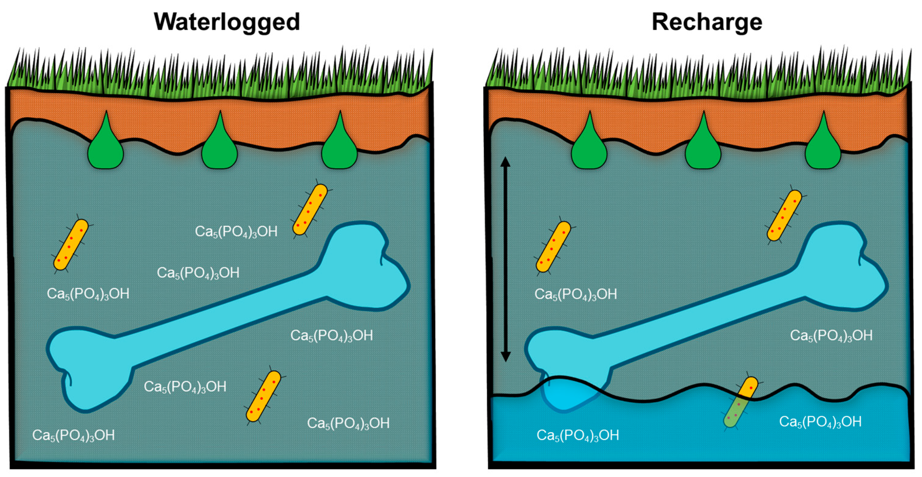 Humans 05 00002 g004 Humans 05 00002 g004