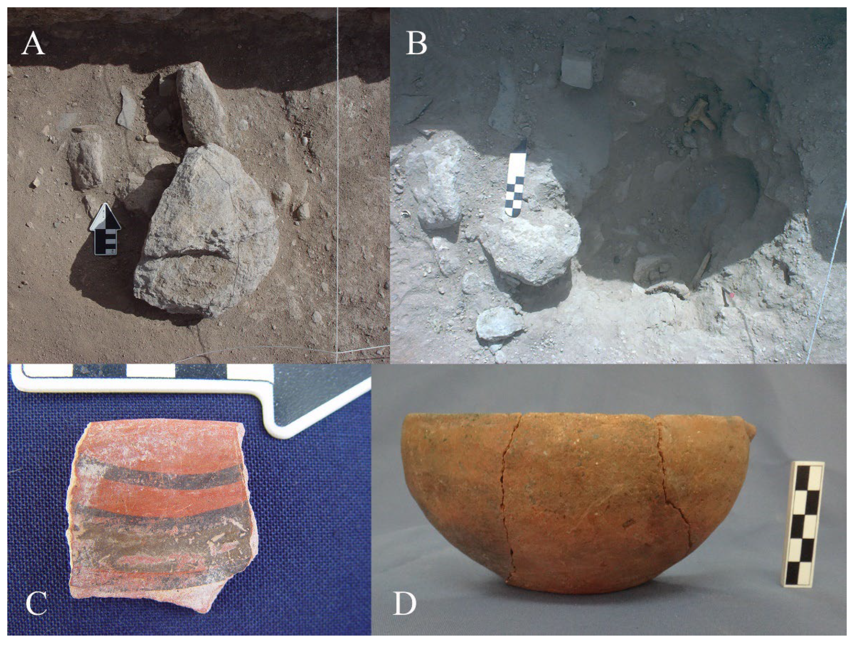 Humans 05 00003 g005 Humans 05 00003 g005