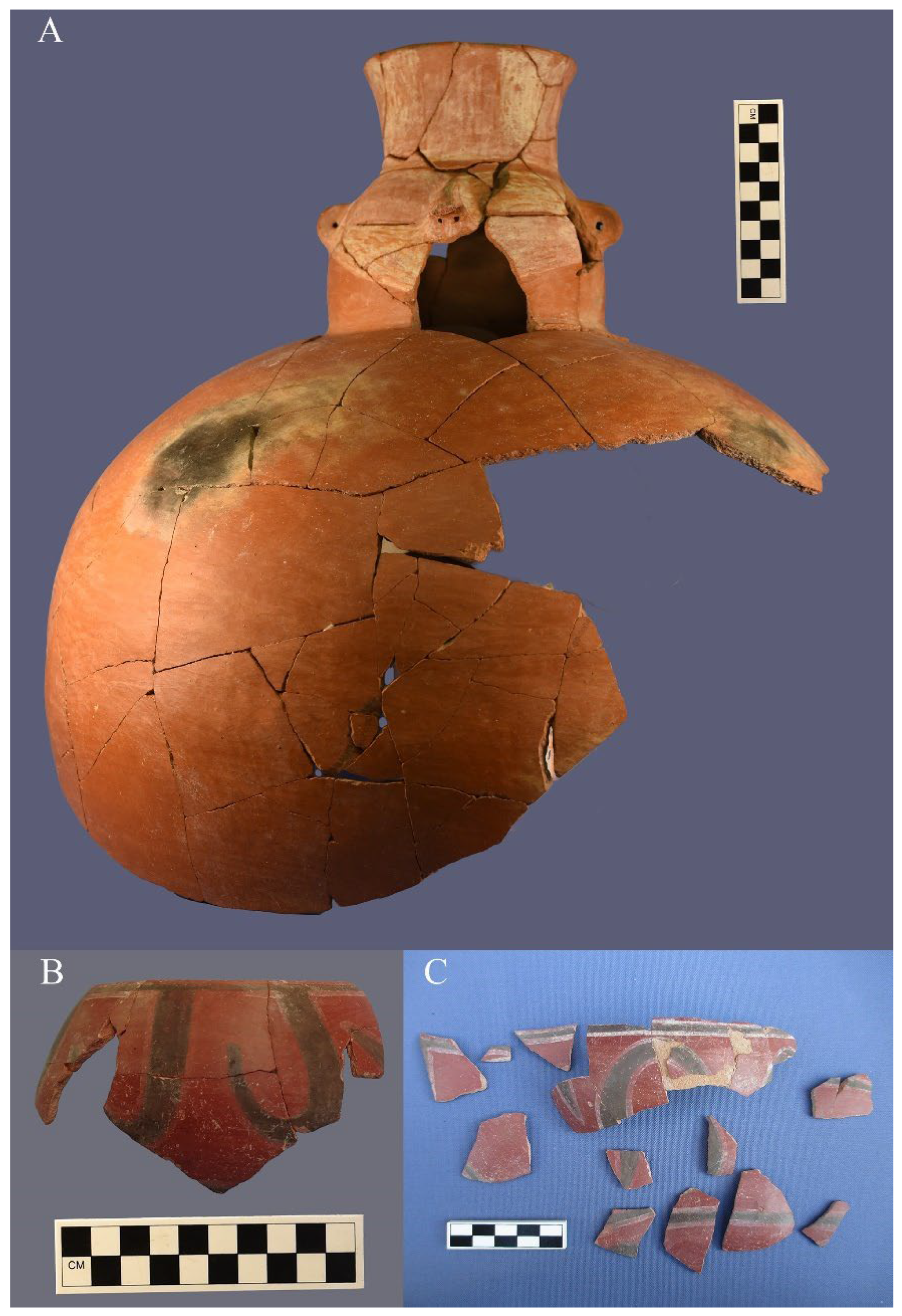 Humans 05 00003 g007 Humans 05 00003 g007