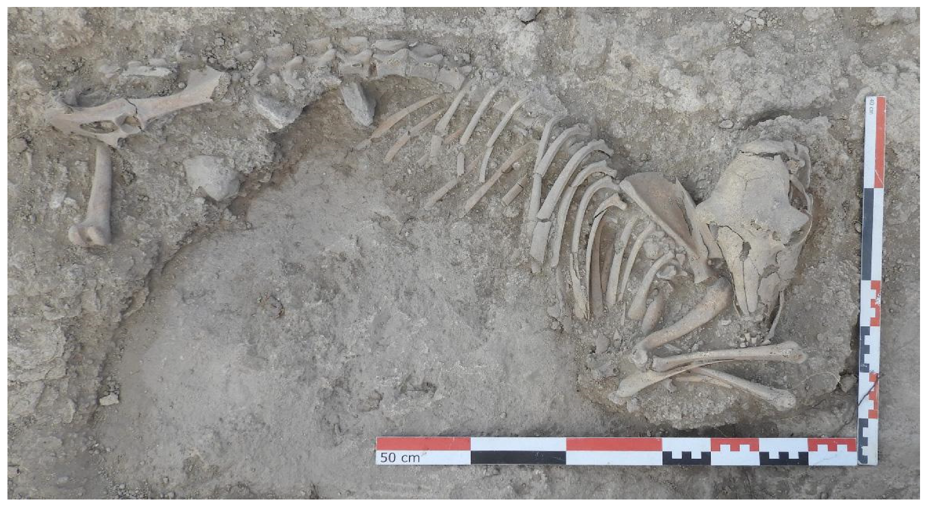 Humans 05 00004 g009