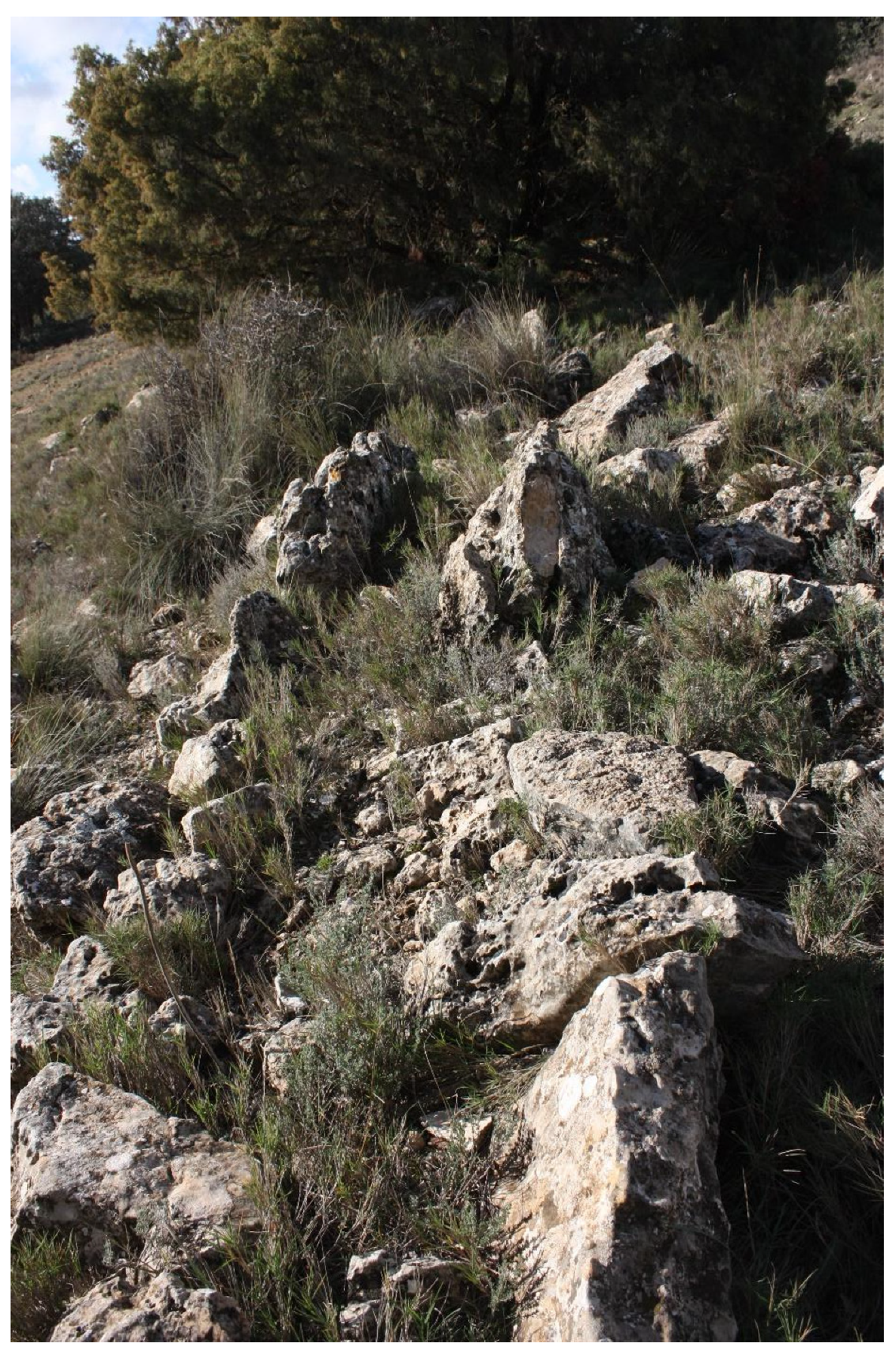 Humans 05 00004 g010