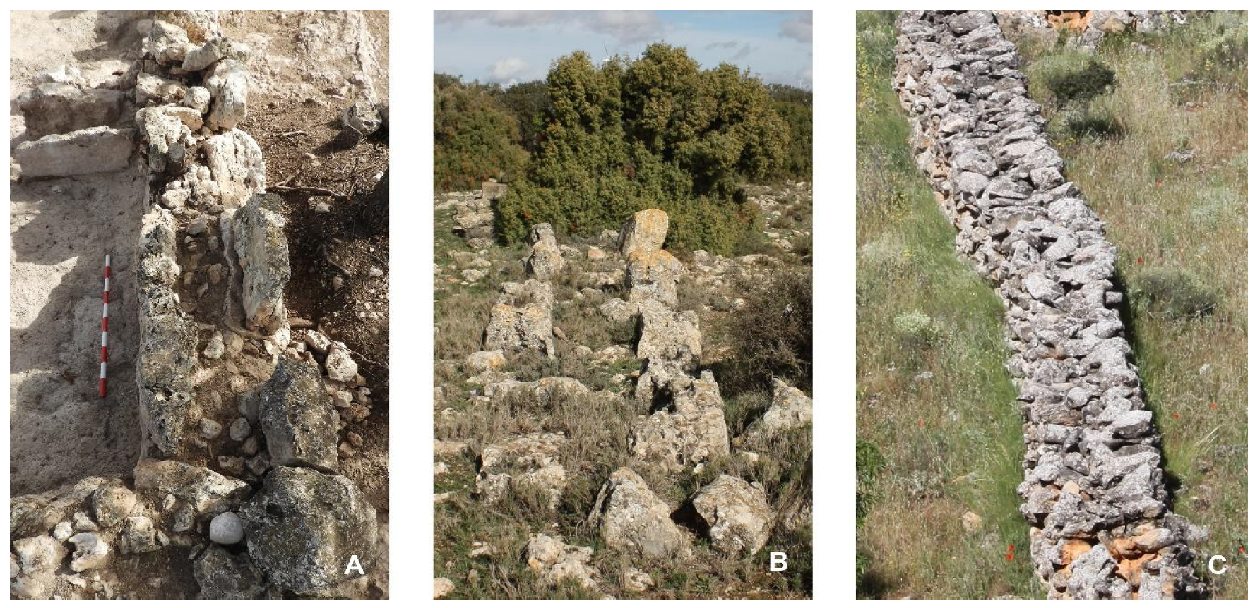 Humans 05 00004 g011