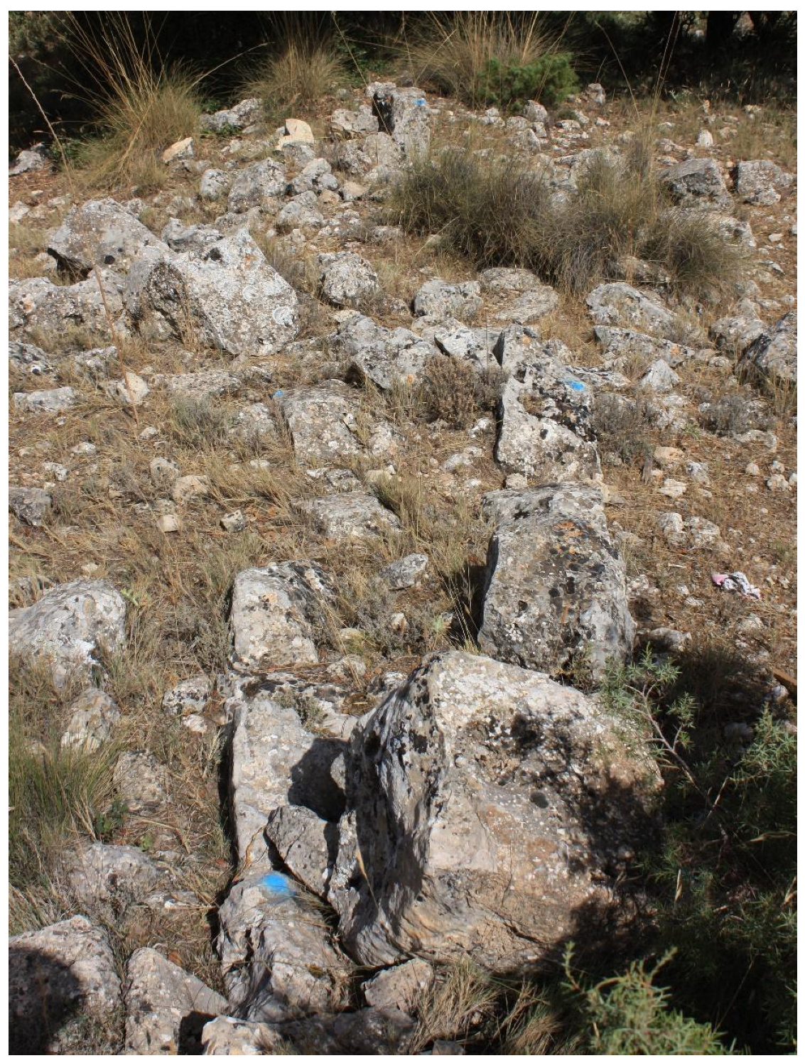 Humans 05 00004 g012