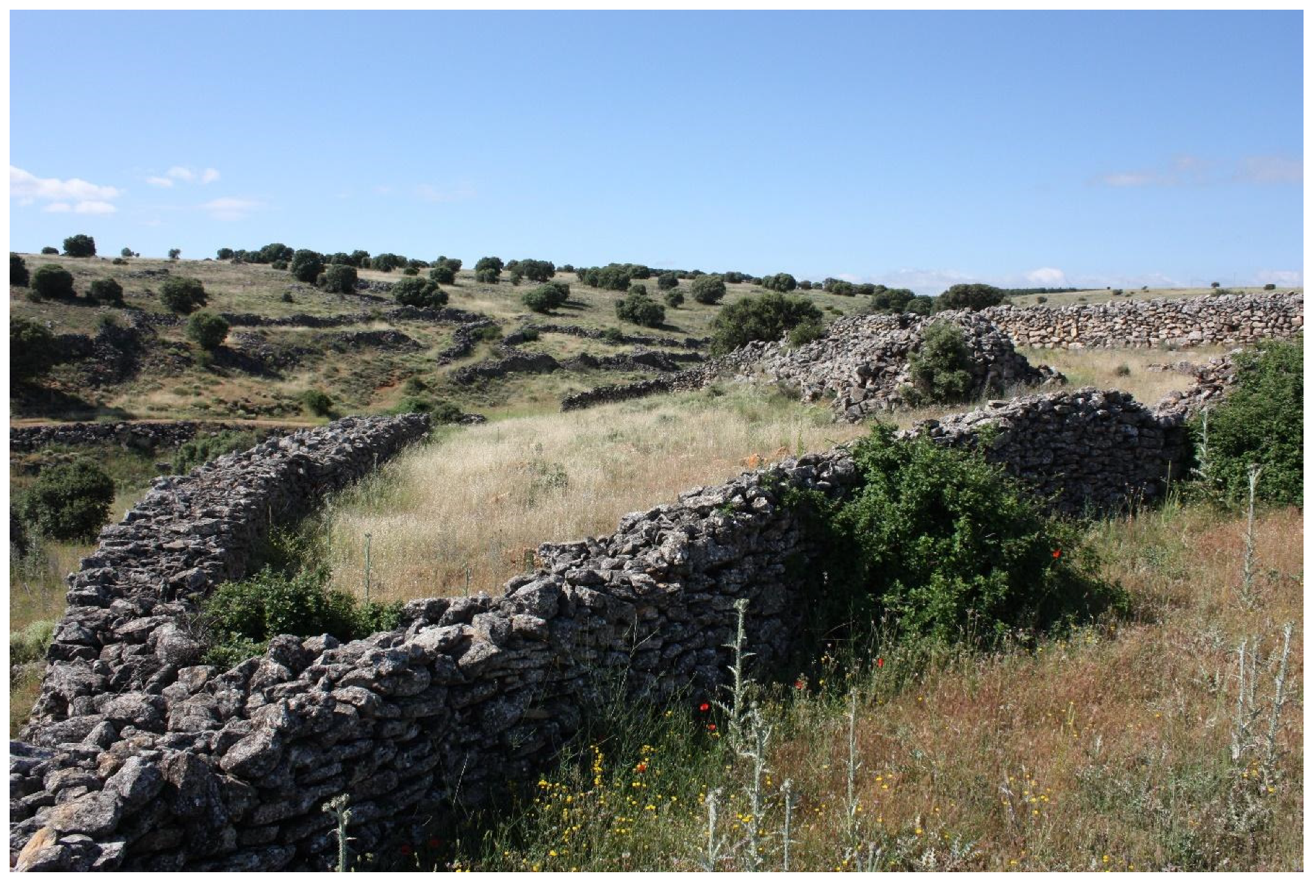 Humans 05 00004 g013