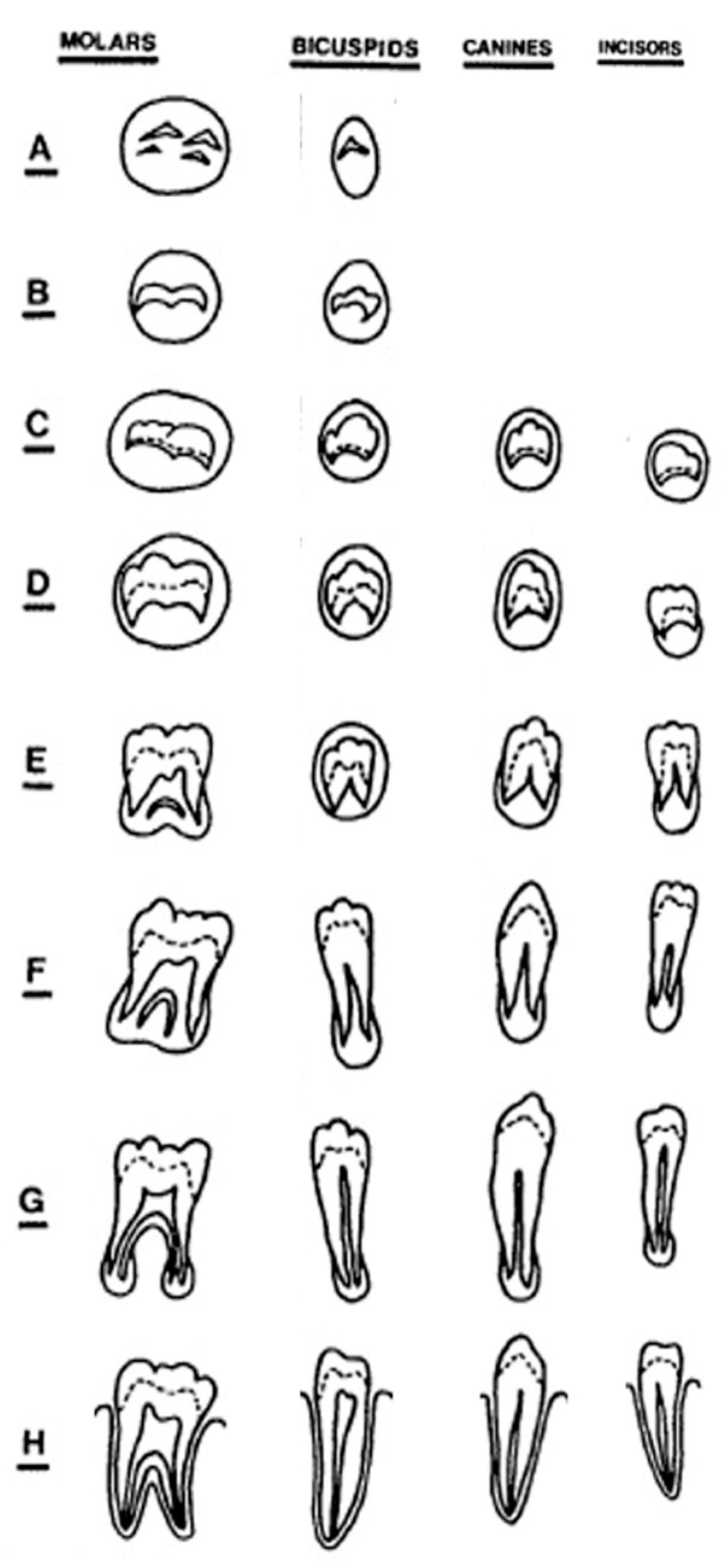 Humans 05 00006 g001 Humans 05 00006 g001