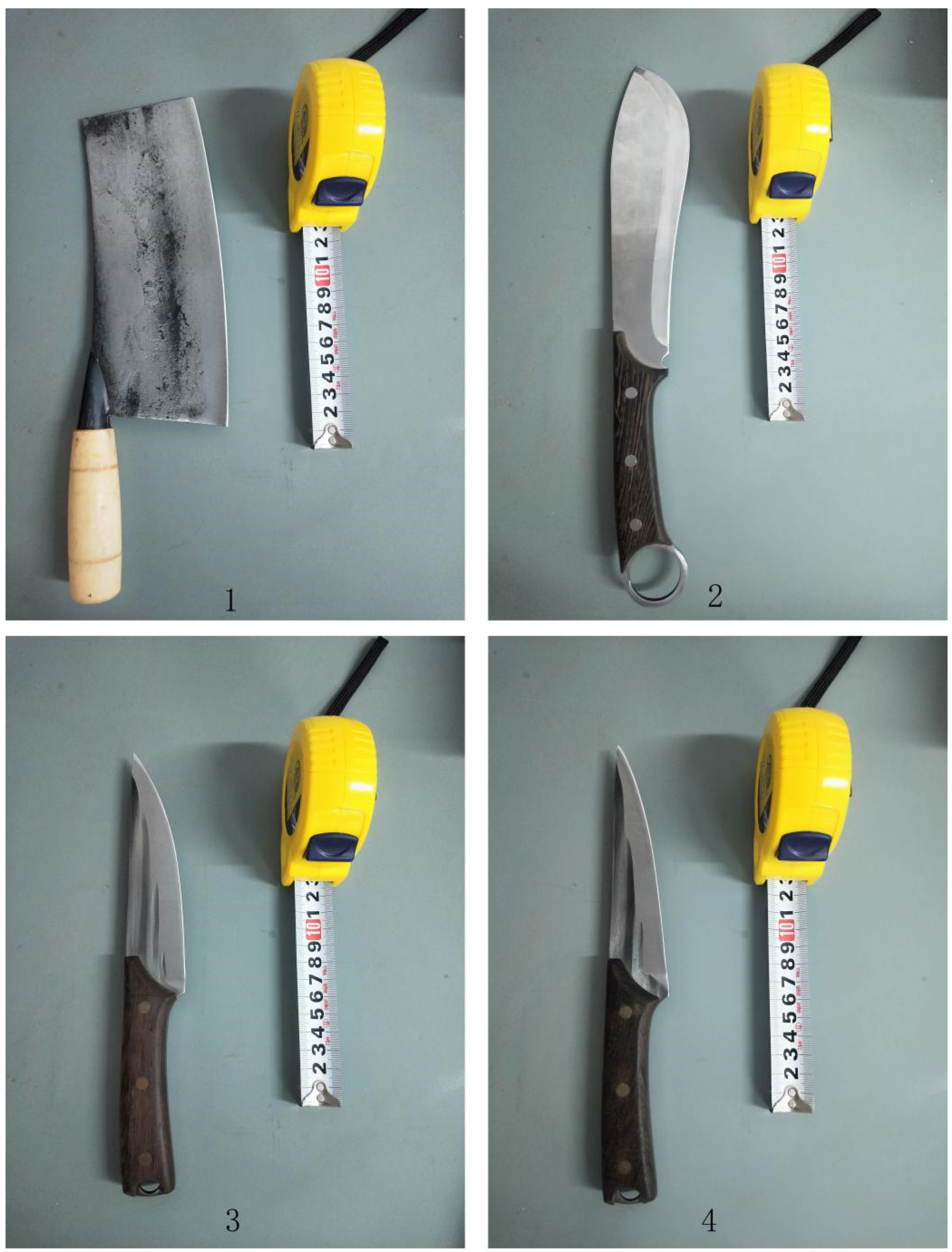 Humans 05 00014 g003