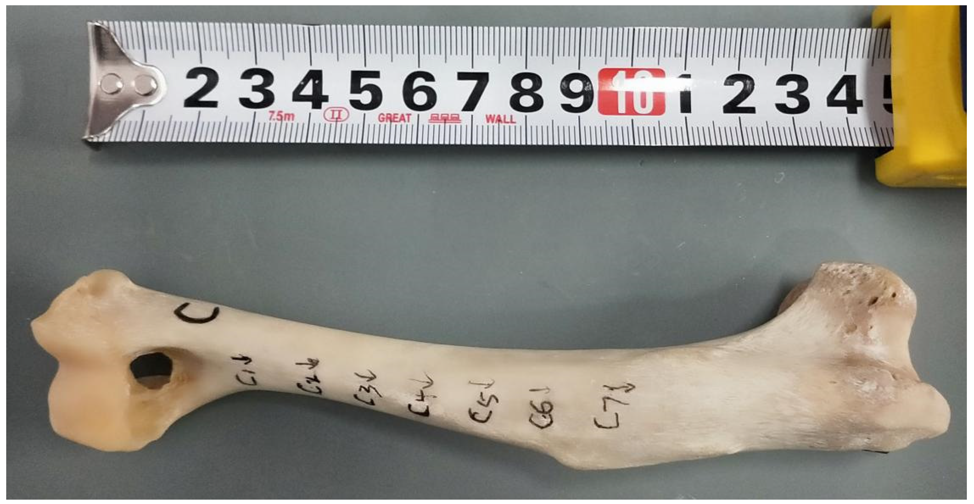 Humans 05 00014 g006