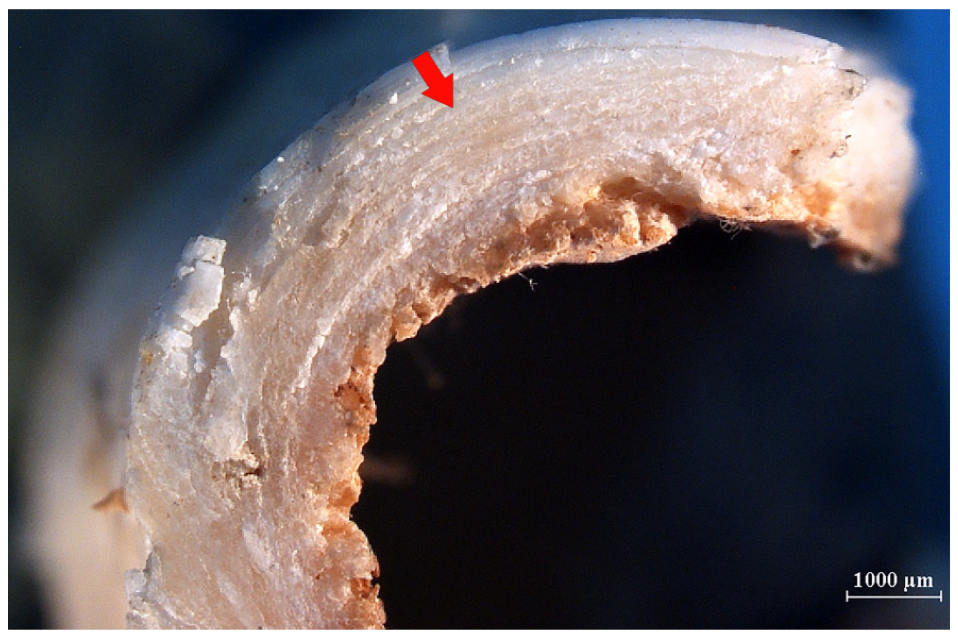 Humans 05 00014 g008