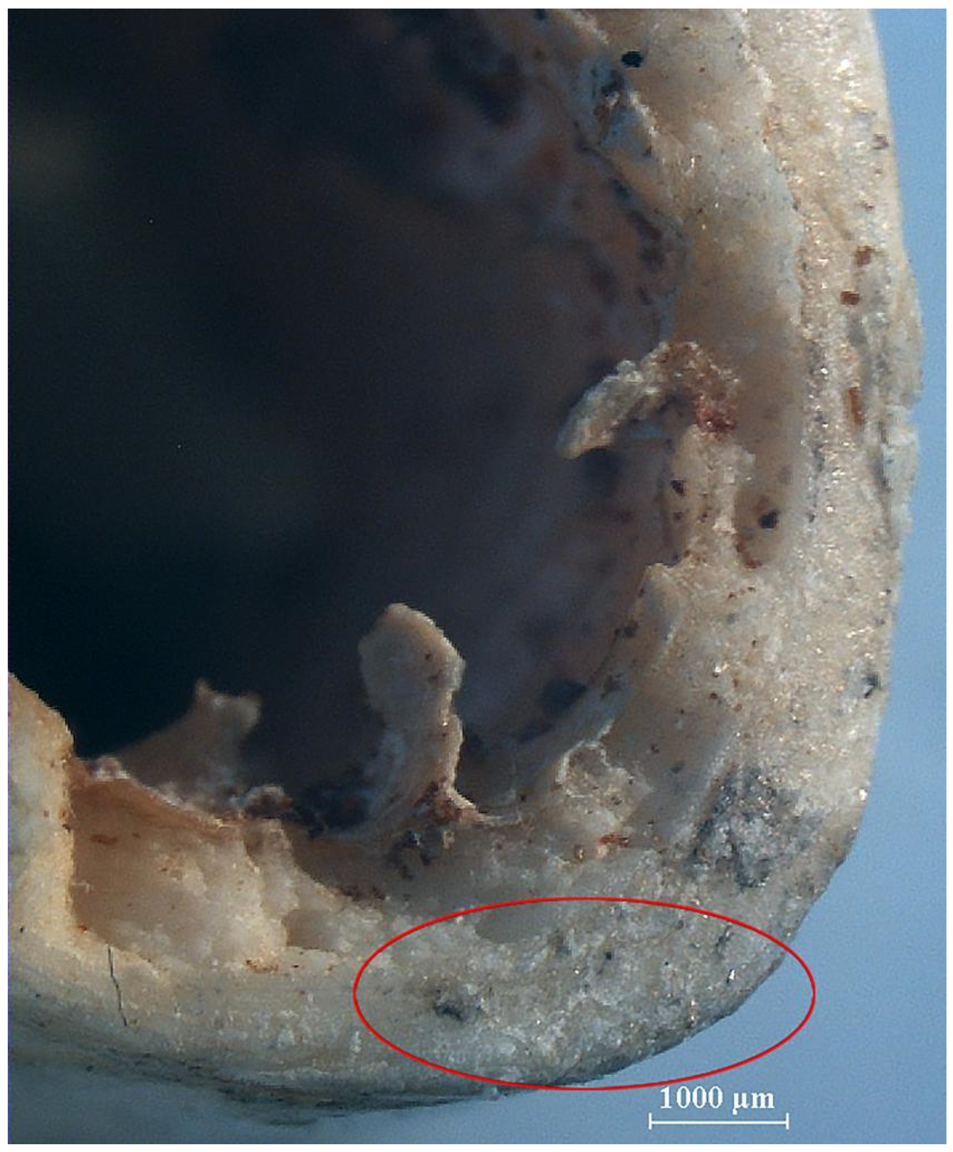 Humans 05 00014 g009